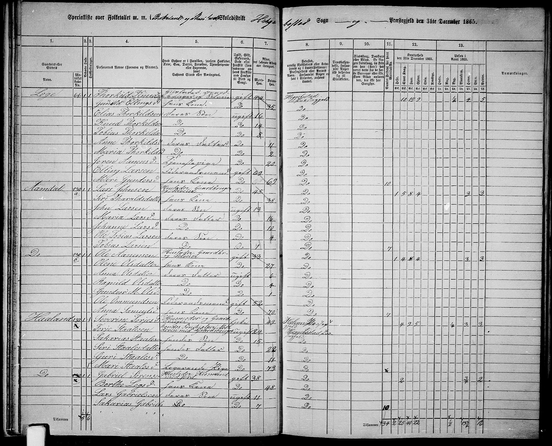 RA, 1865 census for Hægebostad, 1865, p. 33