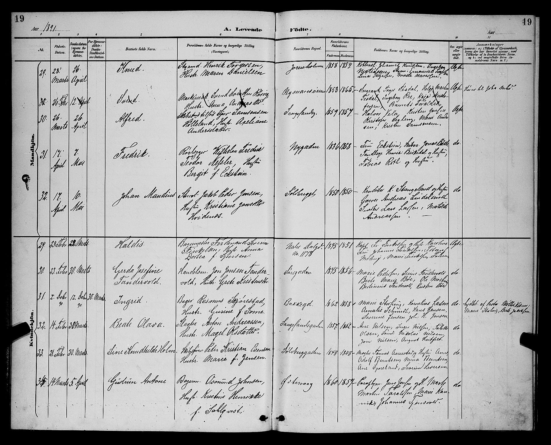 St. Petri sokneprestkontor, AV/SAST-A-101813/001/30/30BB/L0006: Parish register (copy) no. B 6, 1890-1897, p. 19