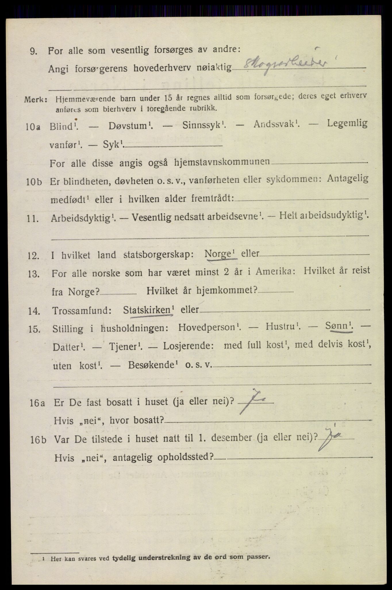 SAH, 1920 census for Elverum, 1920, p. 16053