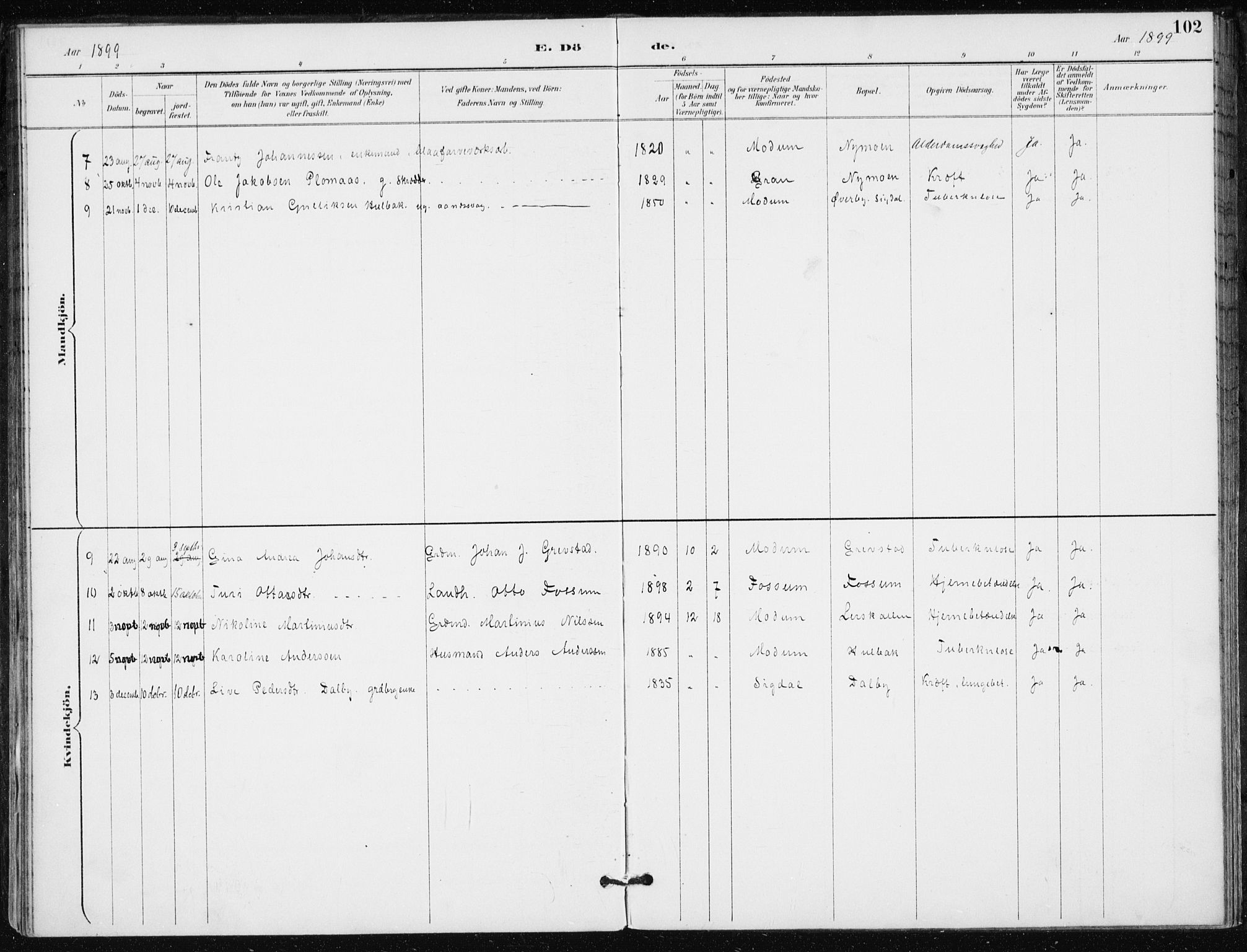 Modum kirkebøker, AV/SAKO-A-234/F/Fa/L0016: Parish register (official) no. 16, 1890-1899, p. 102