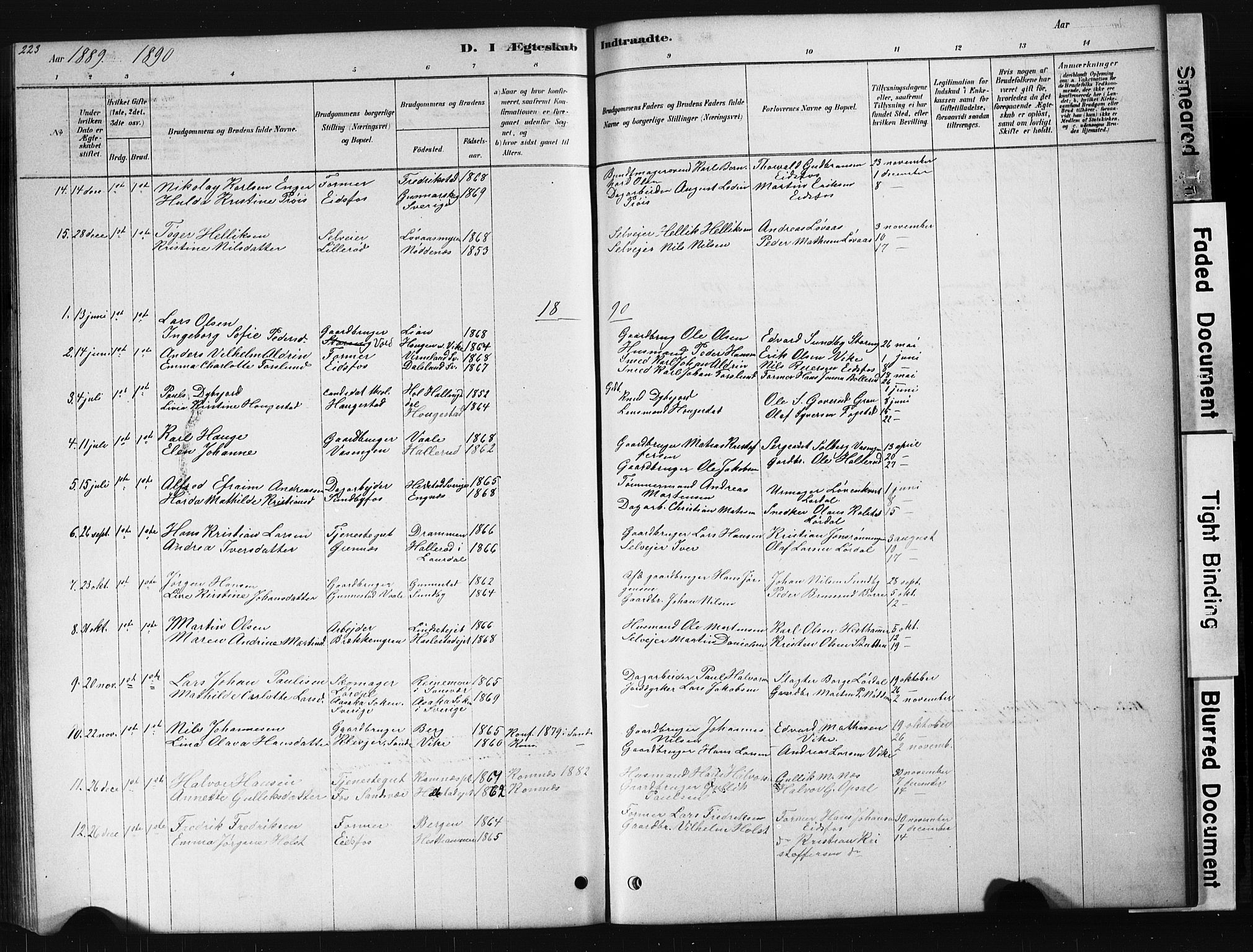 Hof kirkebøker, AV/SAKO-A-64/G/Ga/L0004: Parish register (copy) no. I 4, 1878-1930, p. 223