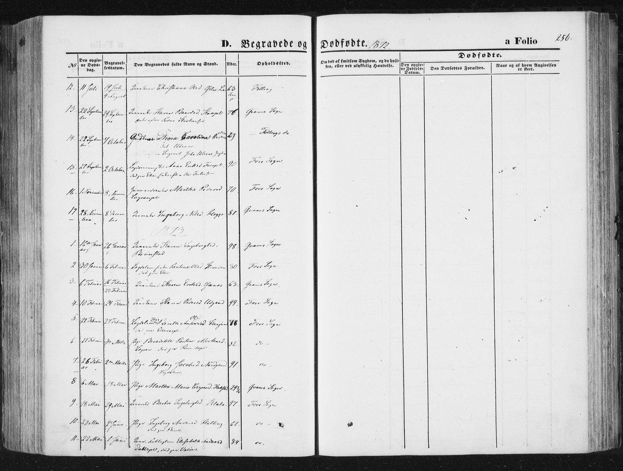 Ministerialprotokoller, klokkerbøker og fødselsregistre - Nord-Trøndelag, SAT/A-1458/746/L0447: Parish register (official) no. 746A06, 1860-1877, p. 256