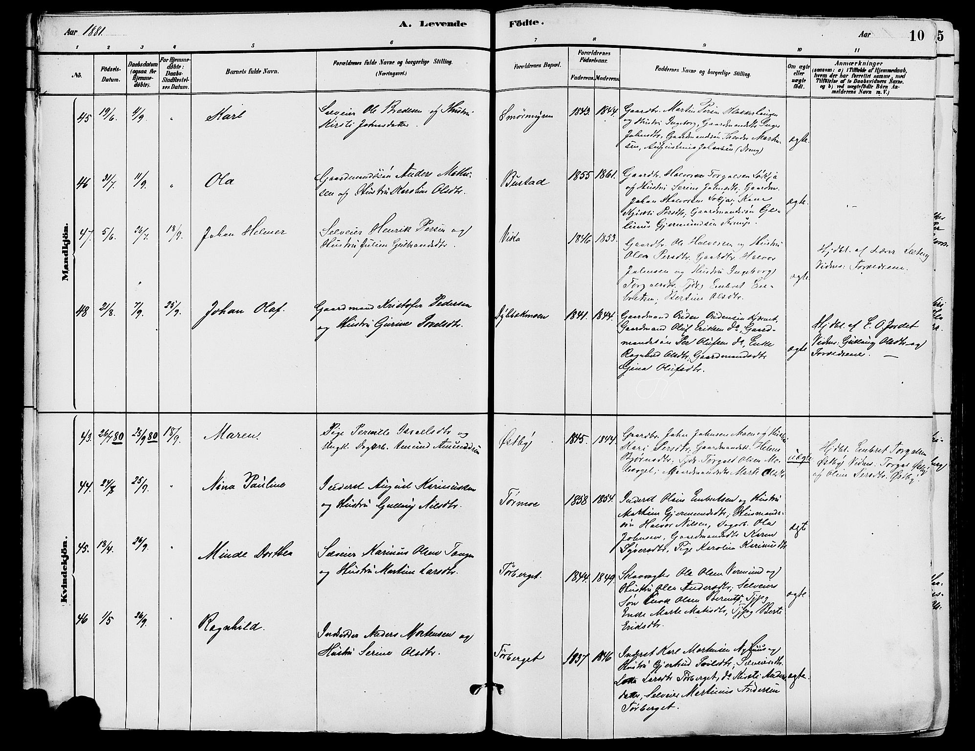 Trysil prestekontor, AV/SAH-PREST-046/H/Ha/Haa/L0008: Parish register (official) no. 8, 1881-1897, p. 10