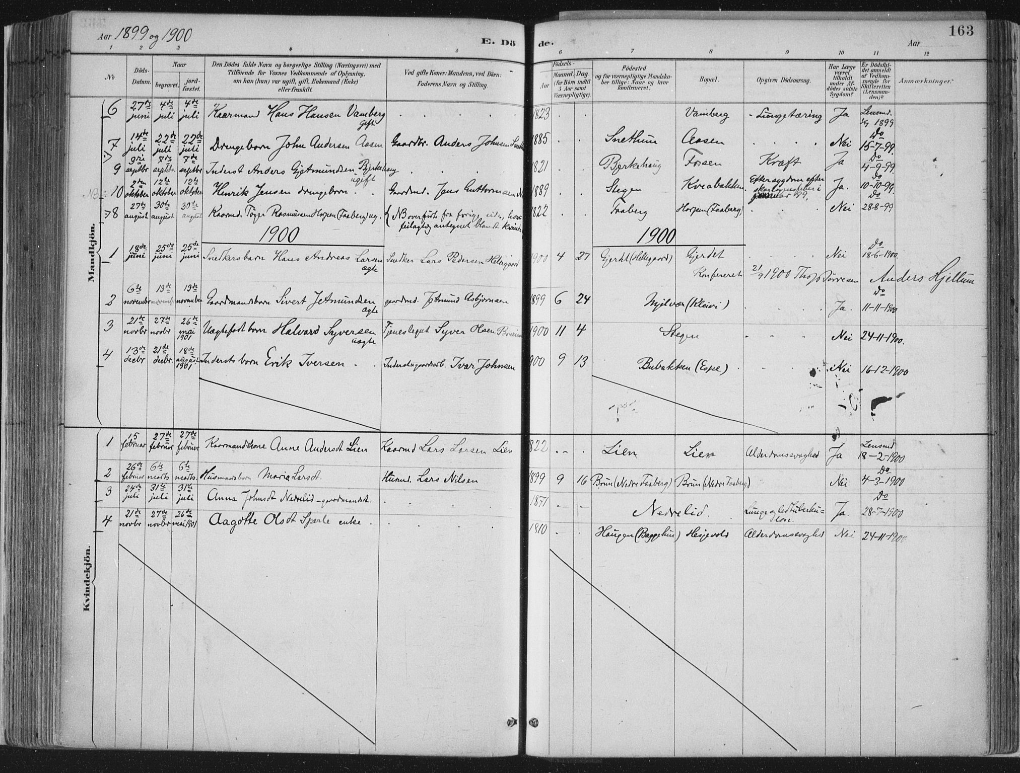 Jostedal sokneprestembete, SAB/A-80601/H/Haa/Haab/L0001: Parish register (official) no. B 1, 1887-1914, p. 163