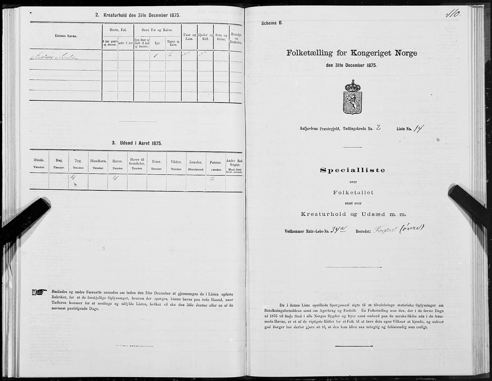 SAT, 1875 census for 1630P Aafjorden, 1875, p. 1110