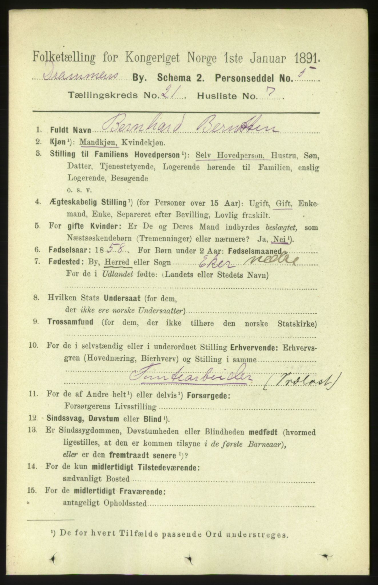 RA, 1891 census for 0602 Drammen, 1891, p. 13099