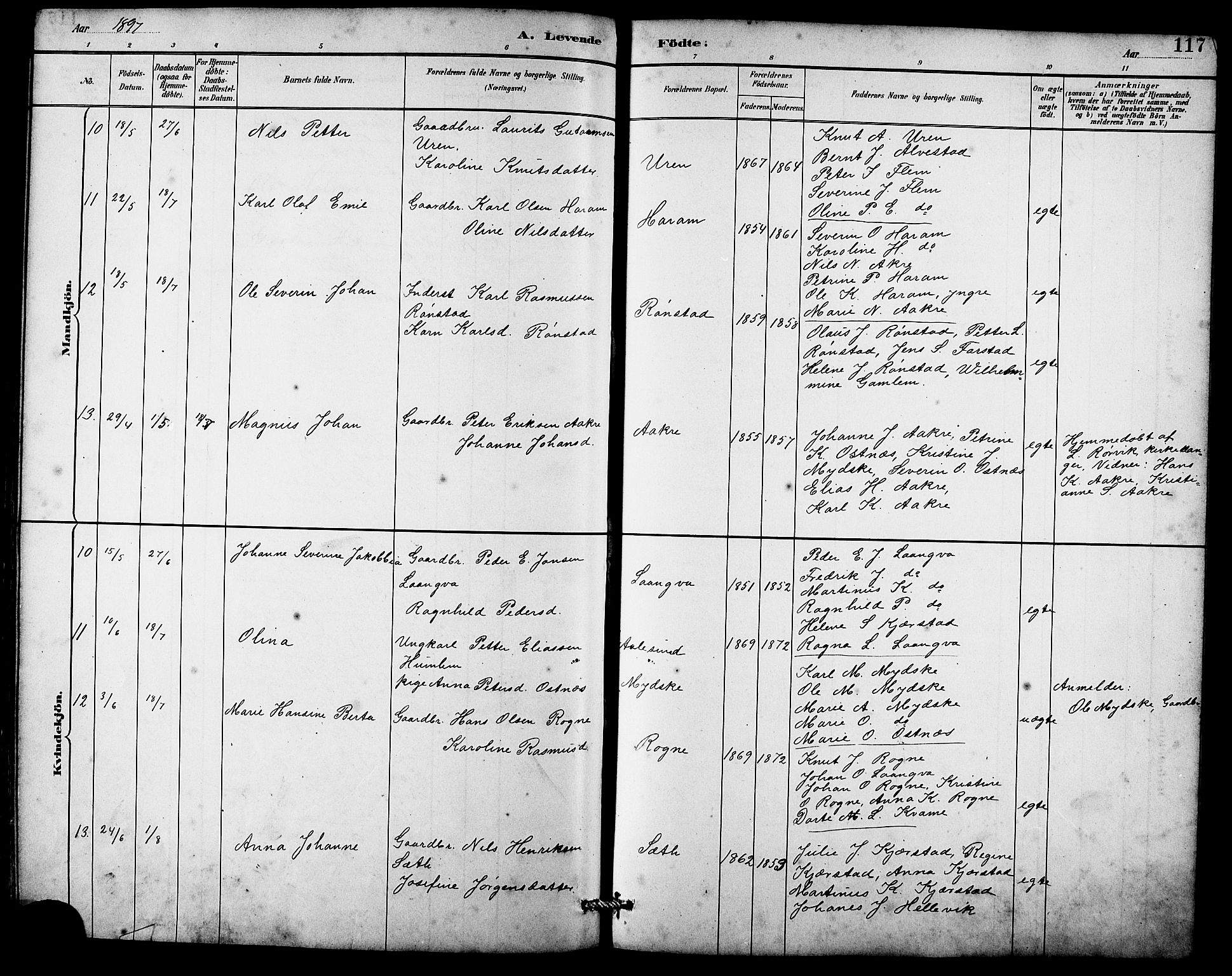 Ministerialprotokoller, klokkerbøker og fødselsregistre - Møre og Romsdal, AV/SAT-A-1454/536/L0510: Parish register (copy) no. 536C05, 1881-1898, p. 117