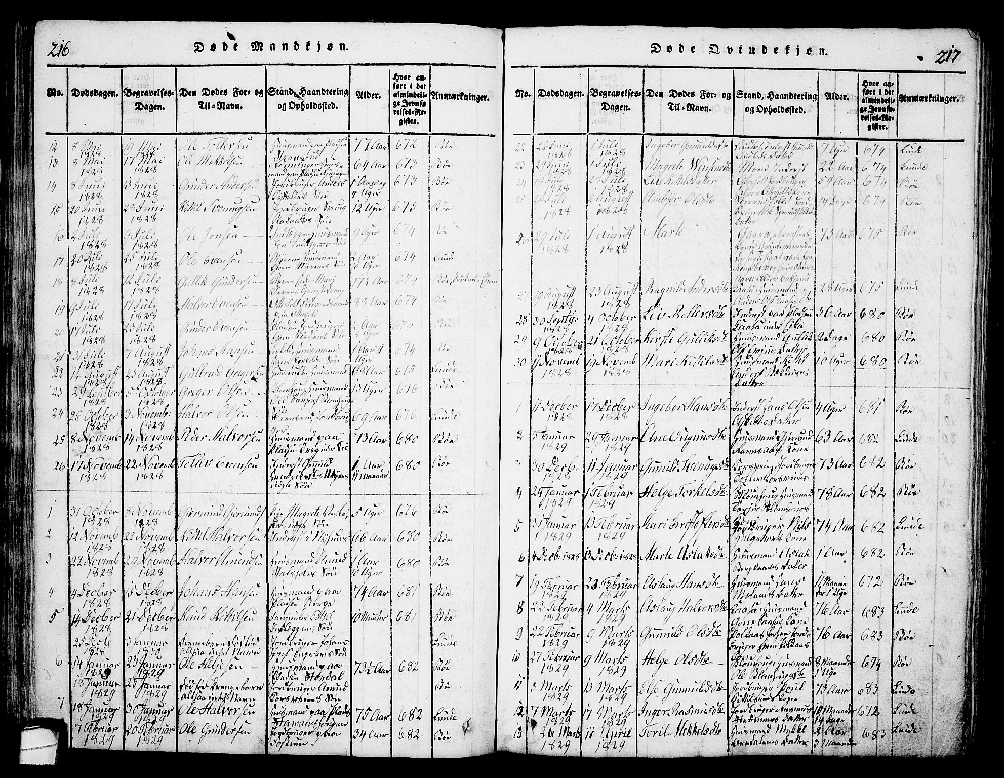 Bø kirkebøker, SAKO/A-257/G/Ga/L0001: Parish register (copy) no. 1, 1815-1831, p. 216-217
