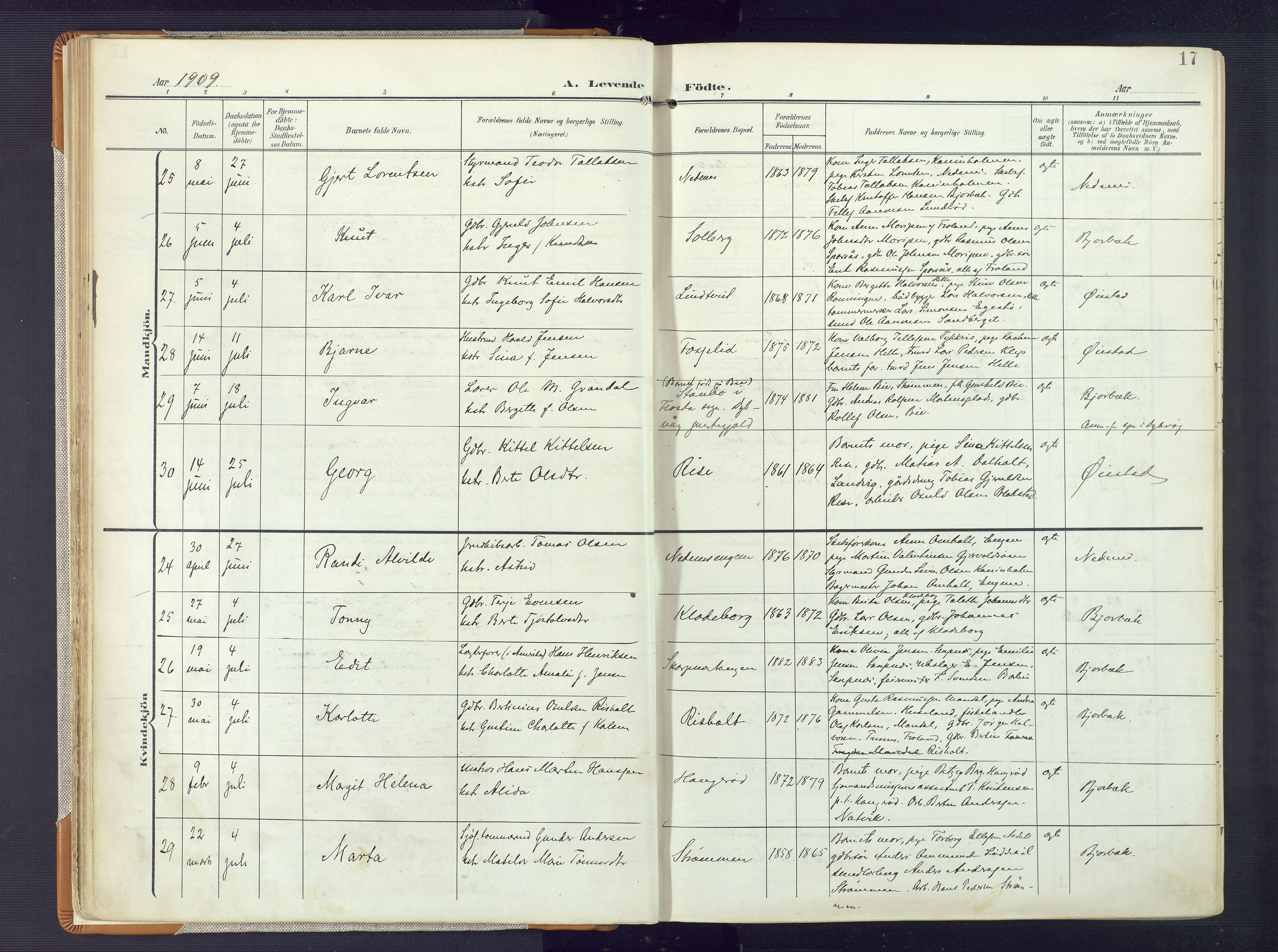 Øyestad sokneprestkontor, AV/SAK-1111-0049/F/Fa/L0019: Parish register (official) no. A 19, 1908-1922, p. 17