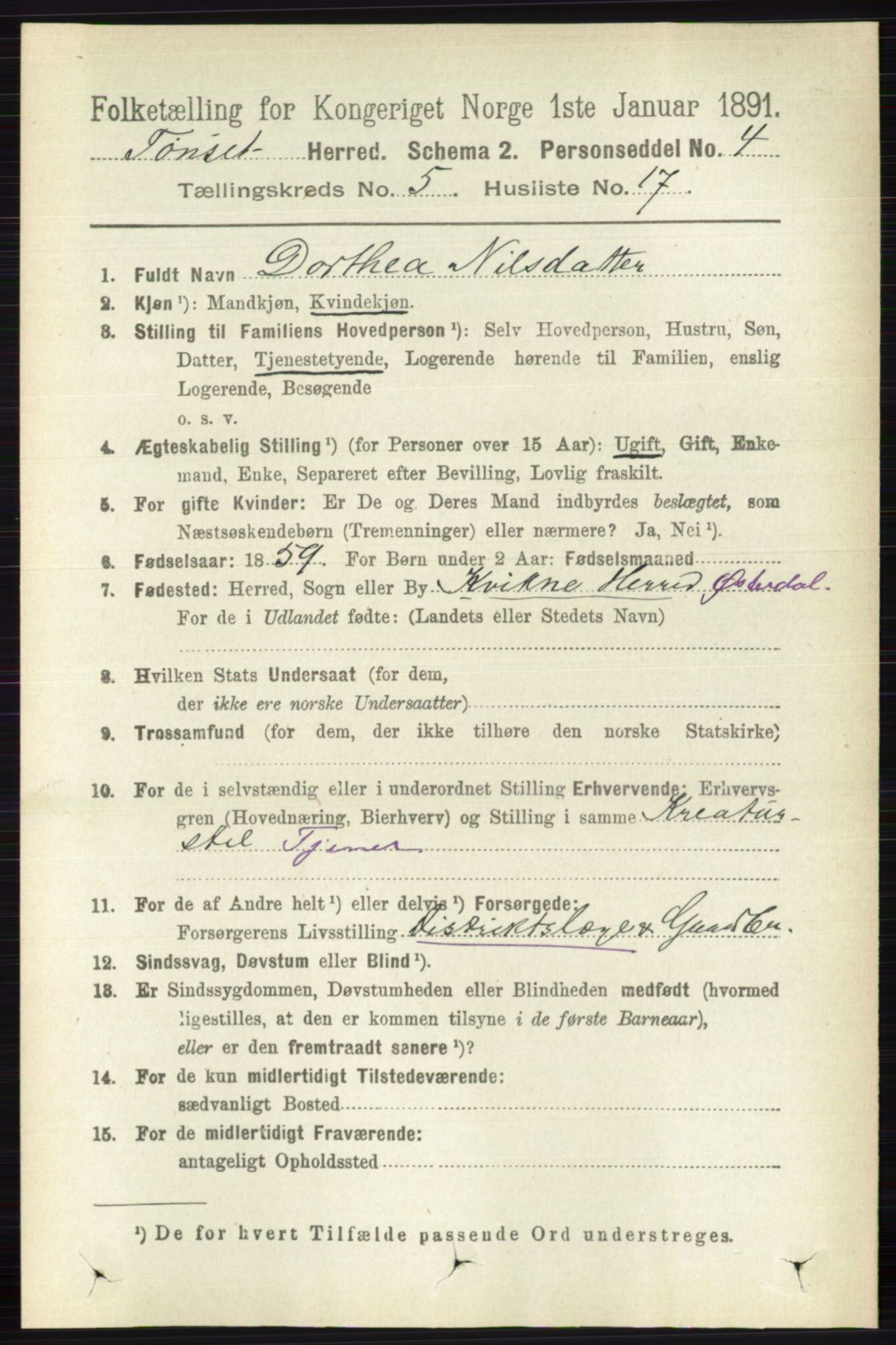 RA, 1891 census for 0437 Tynset, 1891, p. 1173