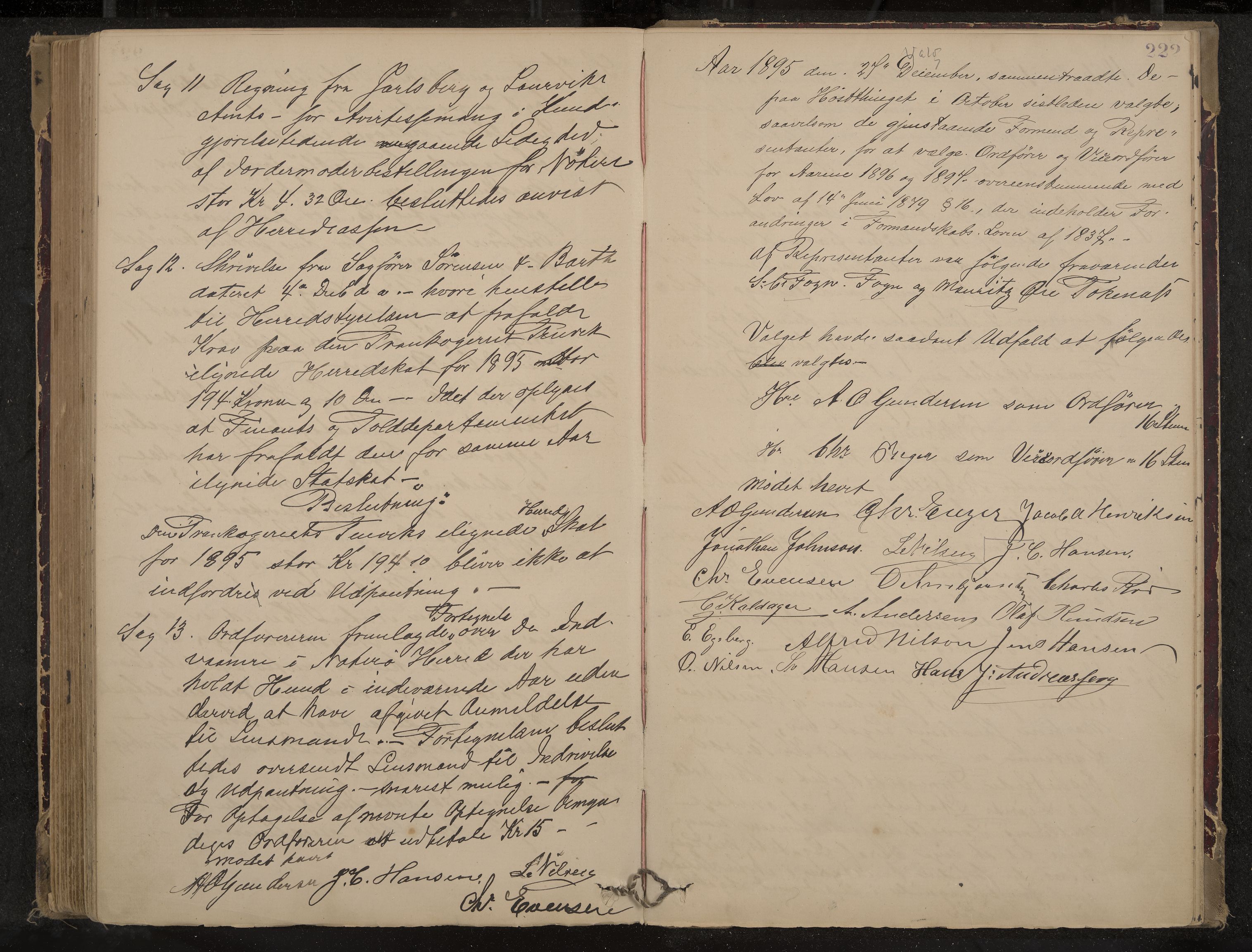 Nøtterøy formannskap og sentraladministrasjon, IKAK/0722021-1/A/Aa/L0004: Møtebok, 1887-1896, p. 222