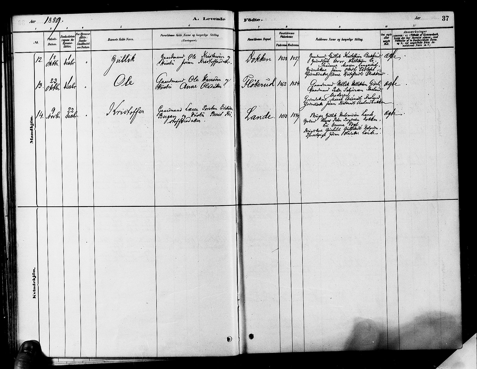 Flesberg kirkebøker, SAKO/A-18/F/Fa/L0008: Parish register (official) no. I 8, 1879-1899, p. 37