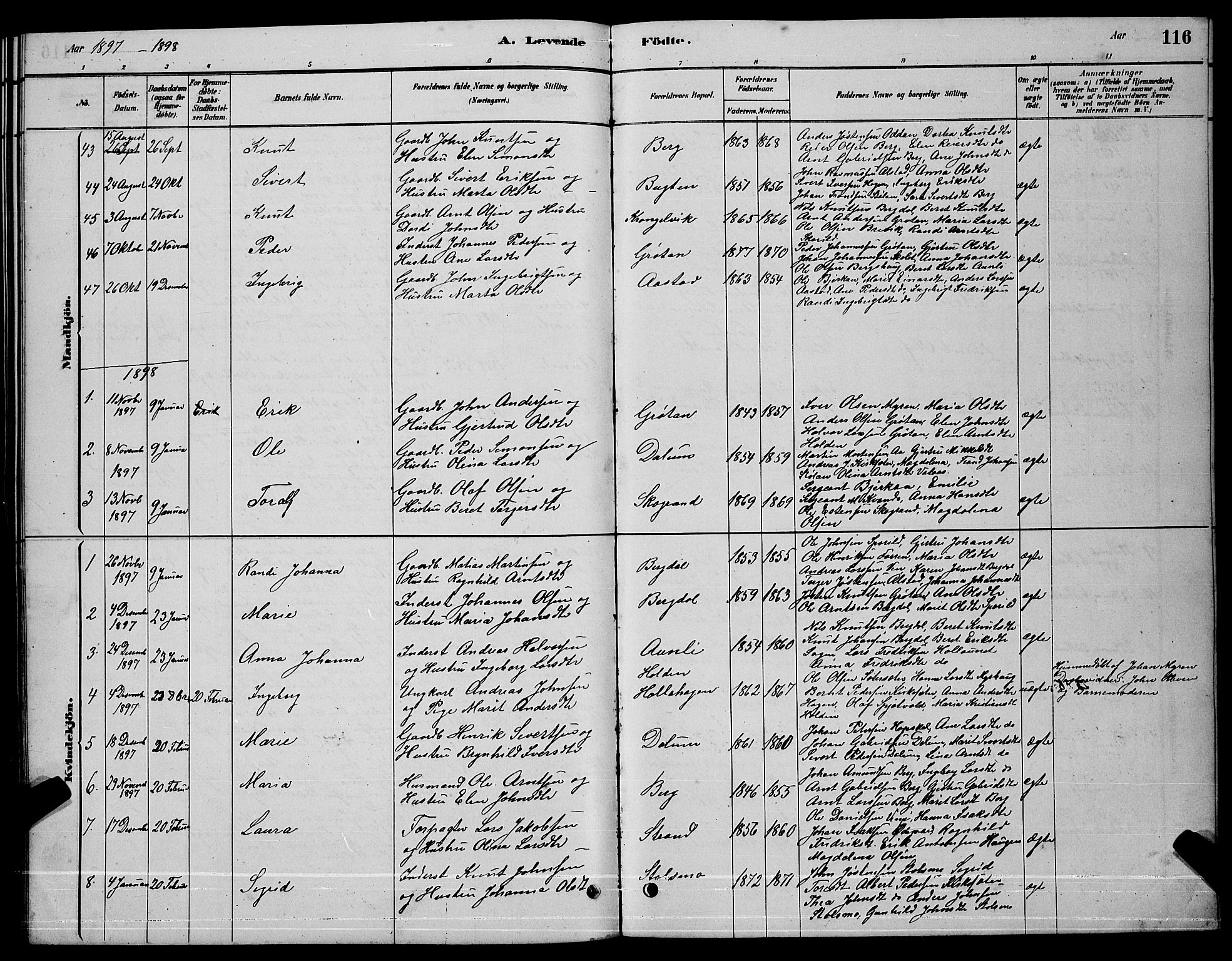 Ministerialprotokoller, klokkerbøker og fødselsregistre - Sør-Trøndelag, SAT/A-1456/630/L0504: Parish register (copy) no. 630C02, 1879-1898, p. 116