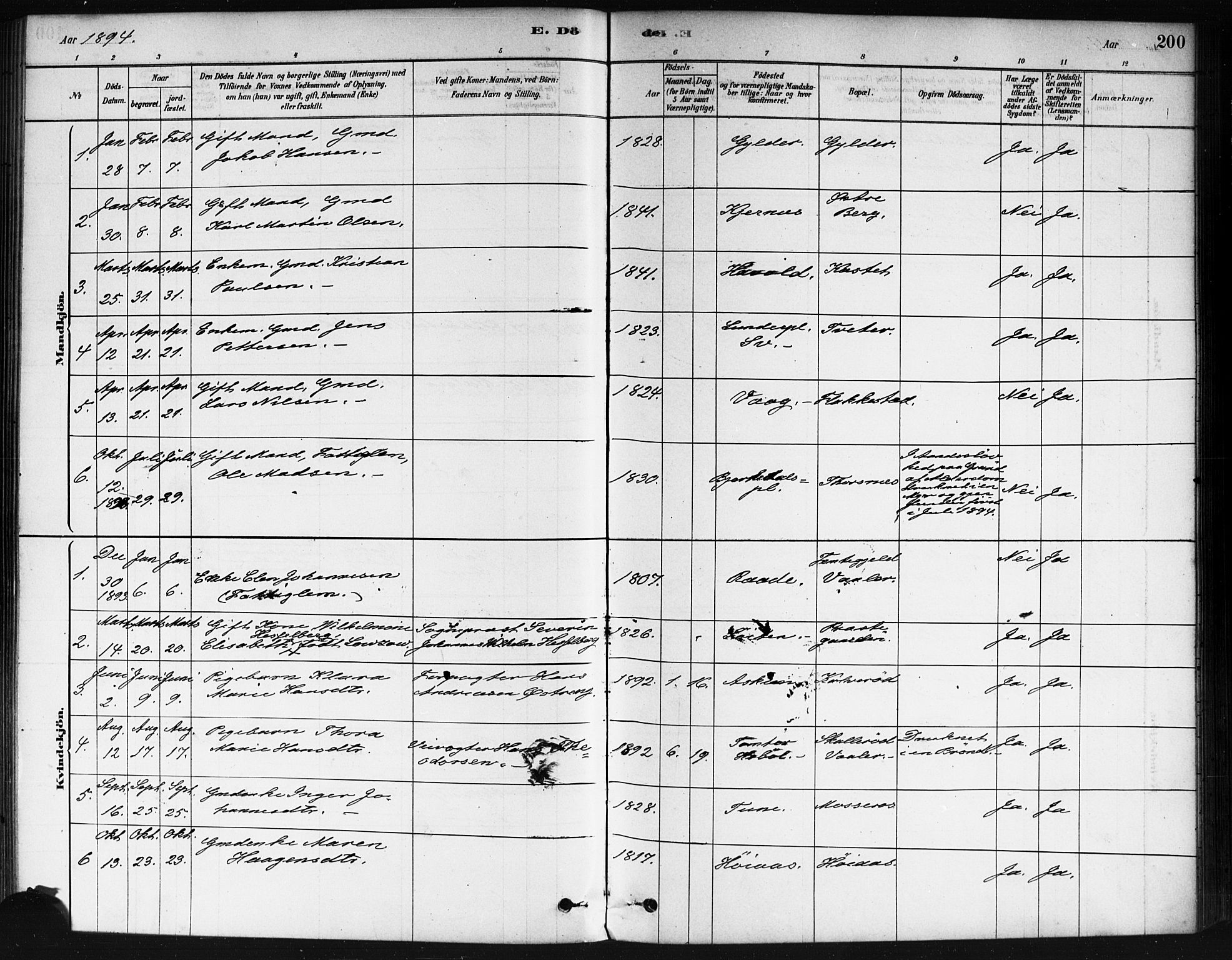 Våler prestekontor Kirkebøker, AV/SAO-A-11083/F/Fa/L0010: Parish register (official) no. I 10, 1878-1896, p. 200