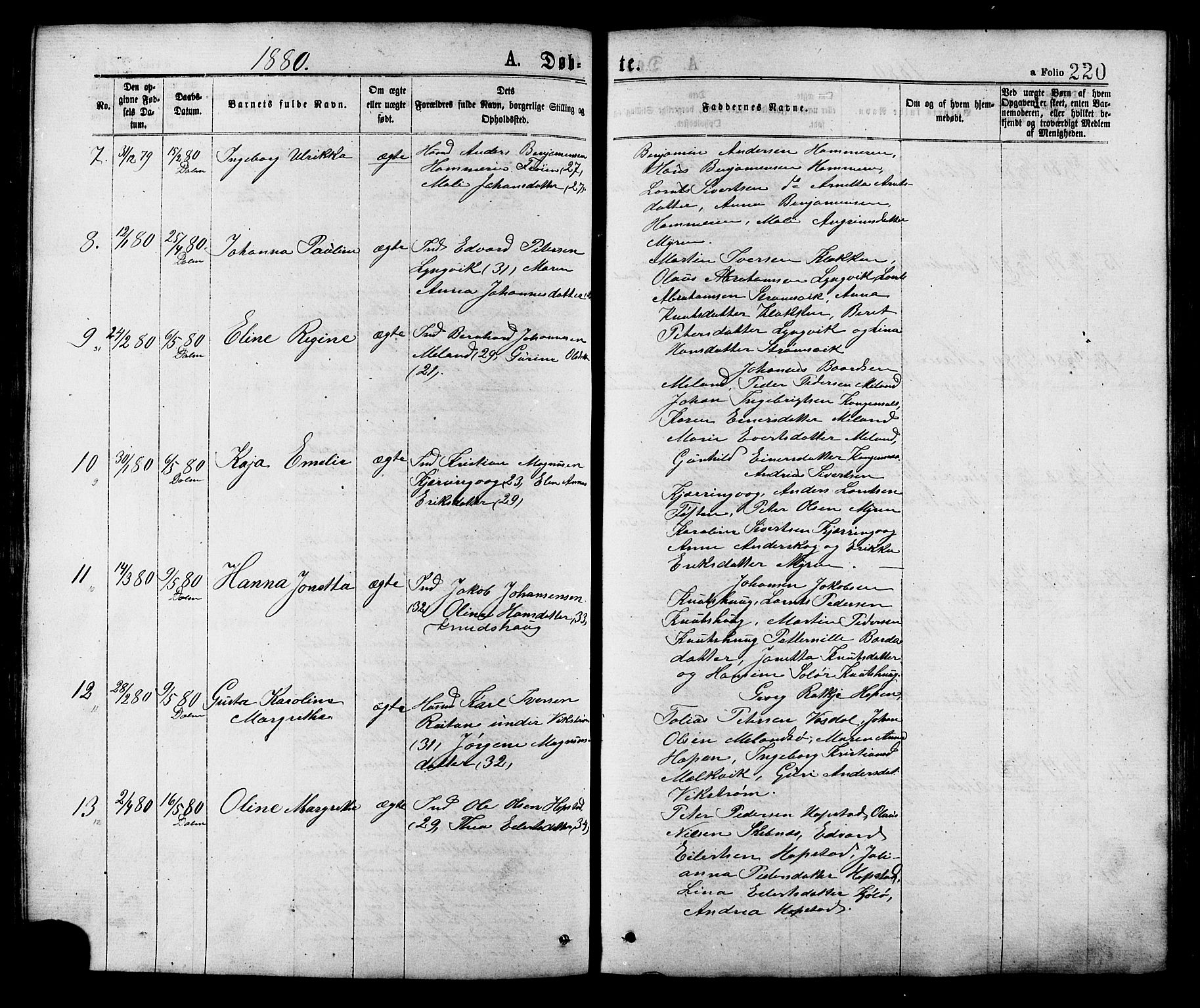 Ministerialprotokoller, klokkerbøker og fødselsregistre - Sør-Trøndelag, SAT/A-1456/634/L0532: Parish register (official) no. 634A08, 1871-1881, p. 220