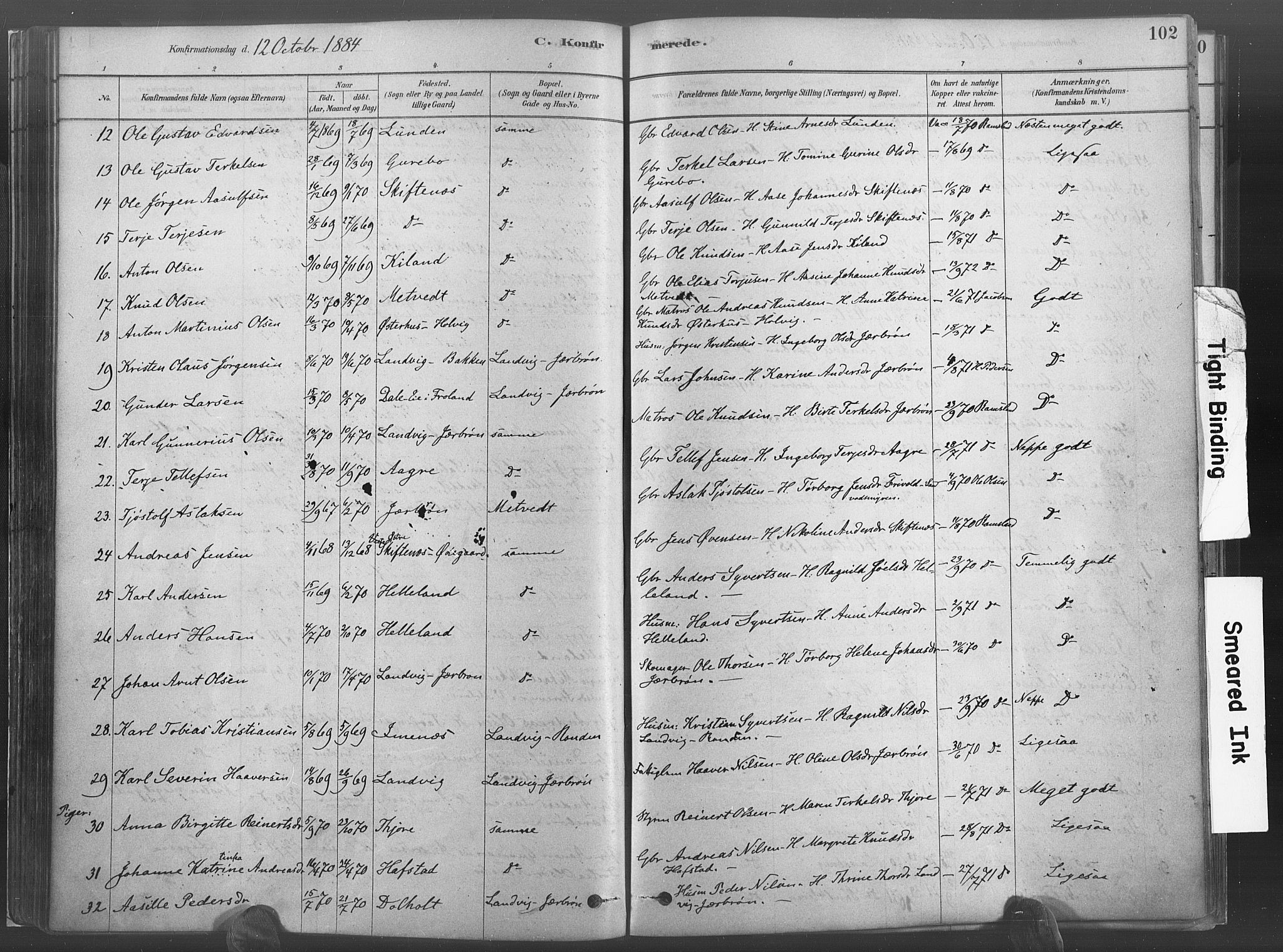 Hommedal sokneprestkontor, SAK/1111-0023/F/Fa/Fab/L0006: Parish register (official) no. A 6, 1878-1897, p. 102