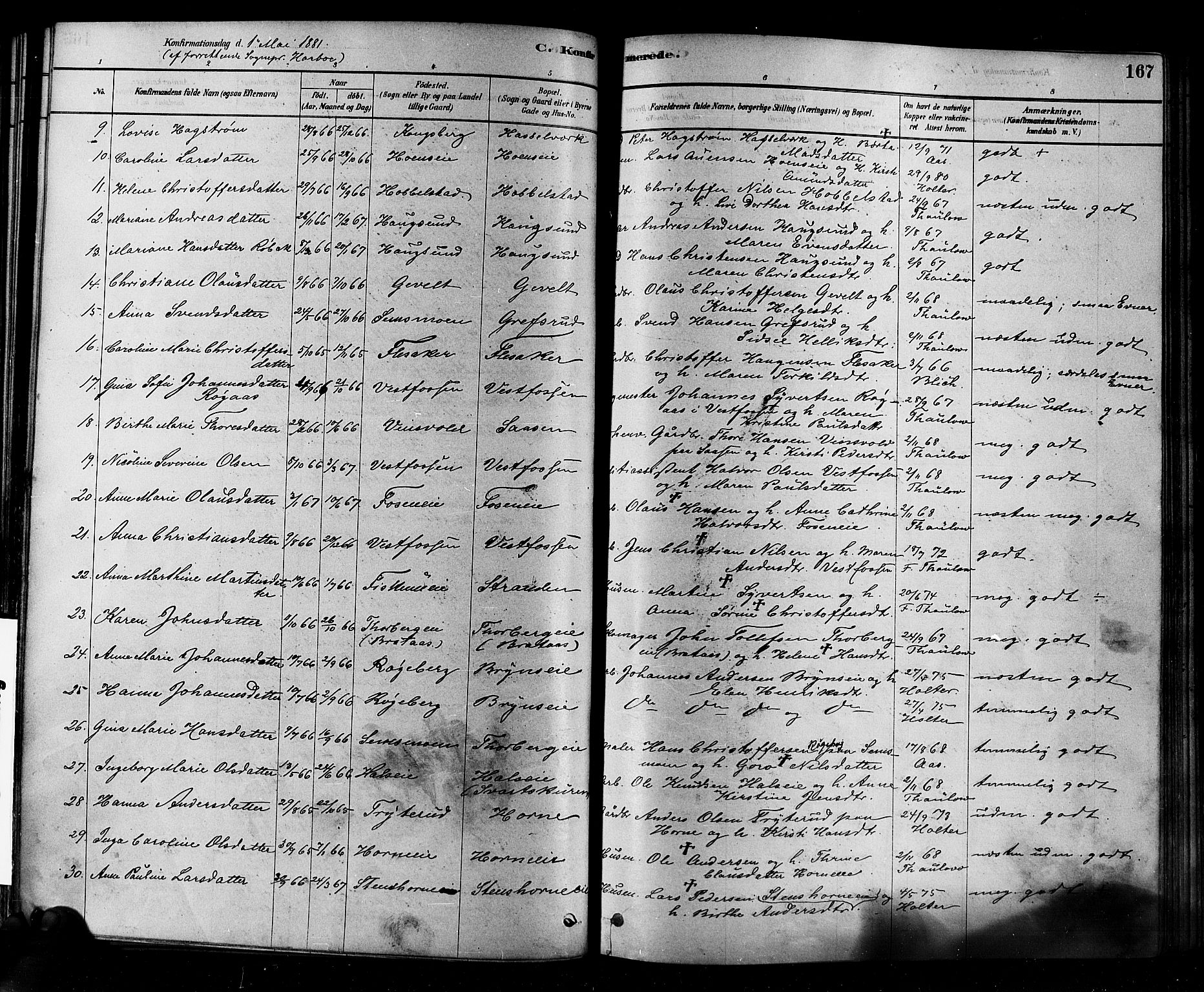 Eiker kirkebøker, AV/SAKO-A-4/F/Fb/L0001: Parish register (official) no. II 1, 1878-1888, p. 167