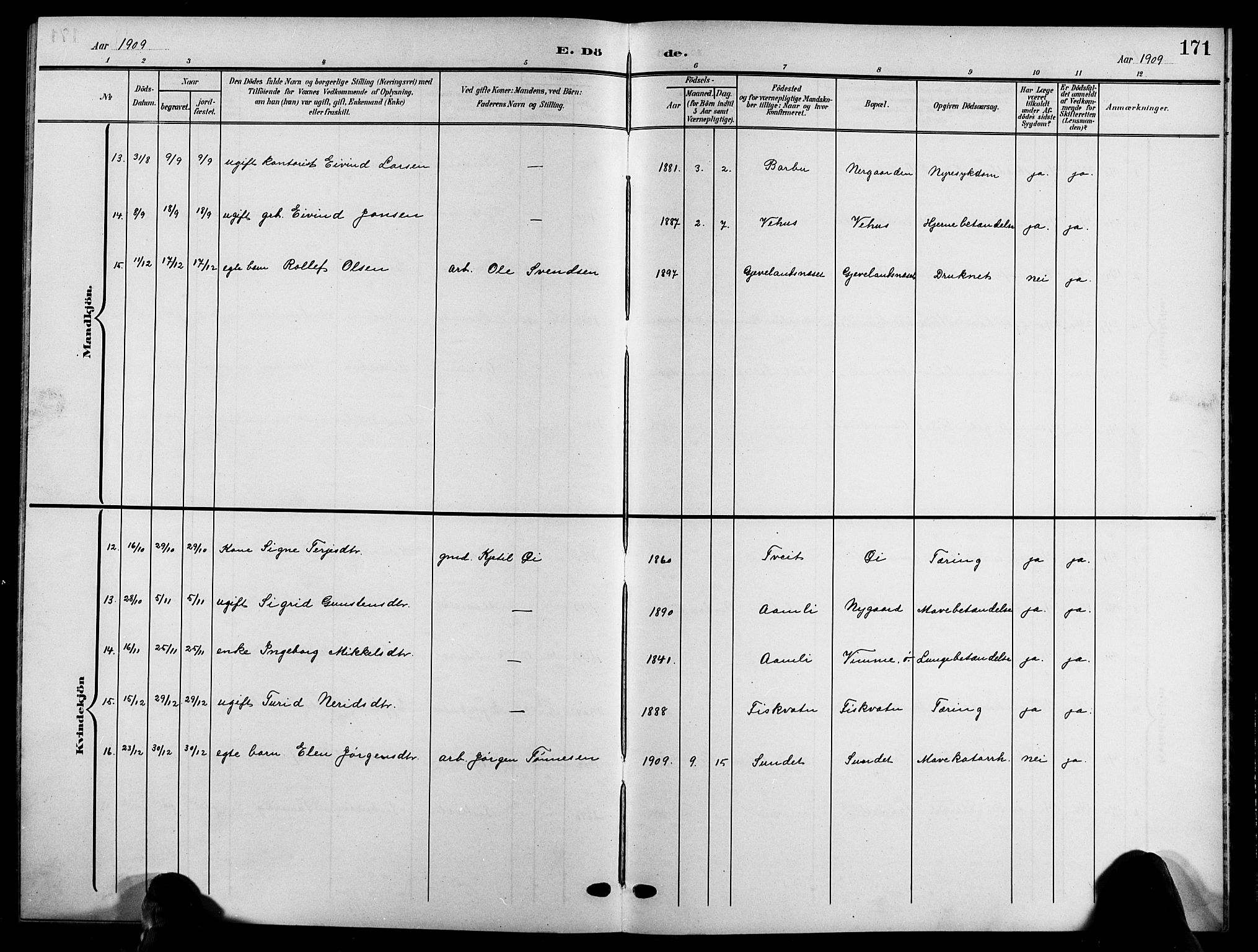 Åmli sokneprestkontor, SAK/1111-0050/F/Fb/Fbc/L0005: Parish register (copy) no. B 5, 1903-1916, p. 171