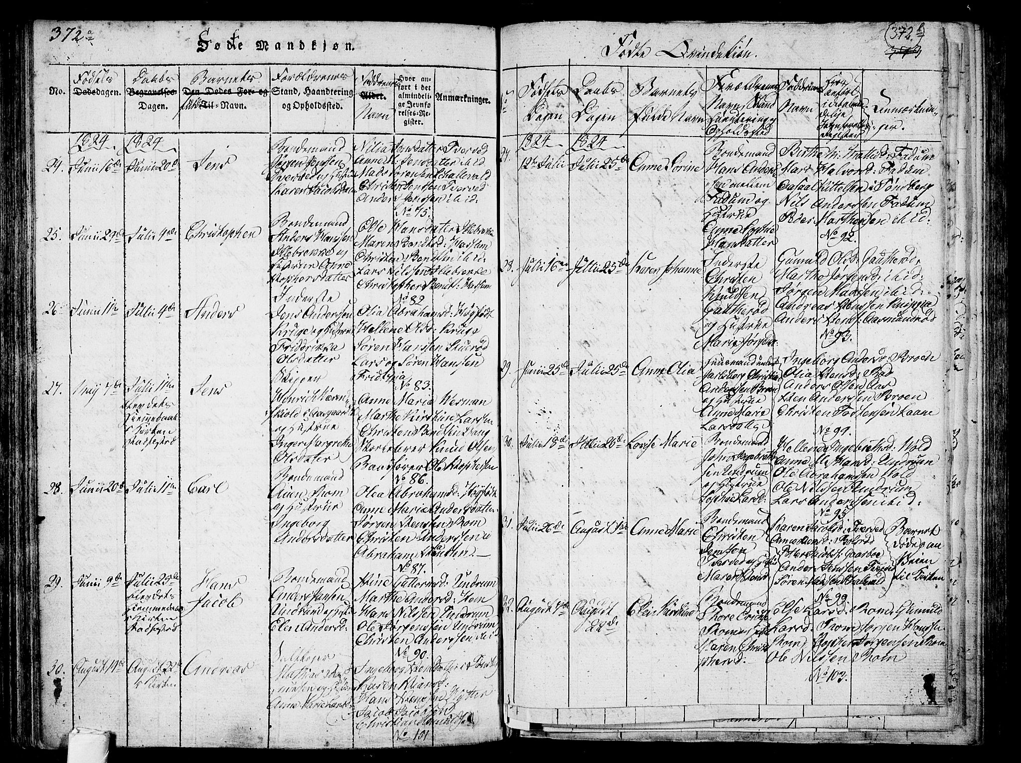 Sem kirkebøker, AV/SAKO-A-5/F/Fa/L0004: Parish register (official) no. I 4, 1814-1825, p. 372-373