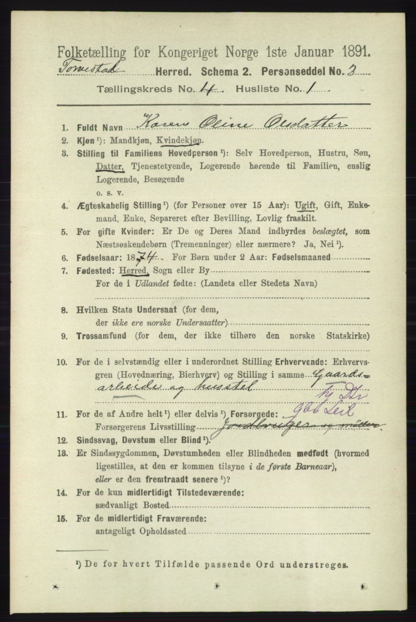 RA, 1891 census for 1152 Torvastad, 1891, p. 1474