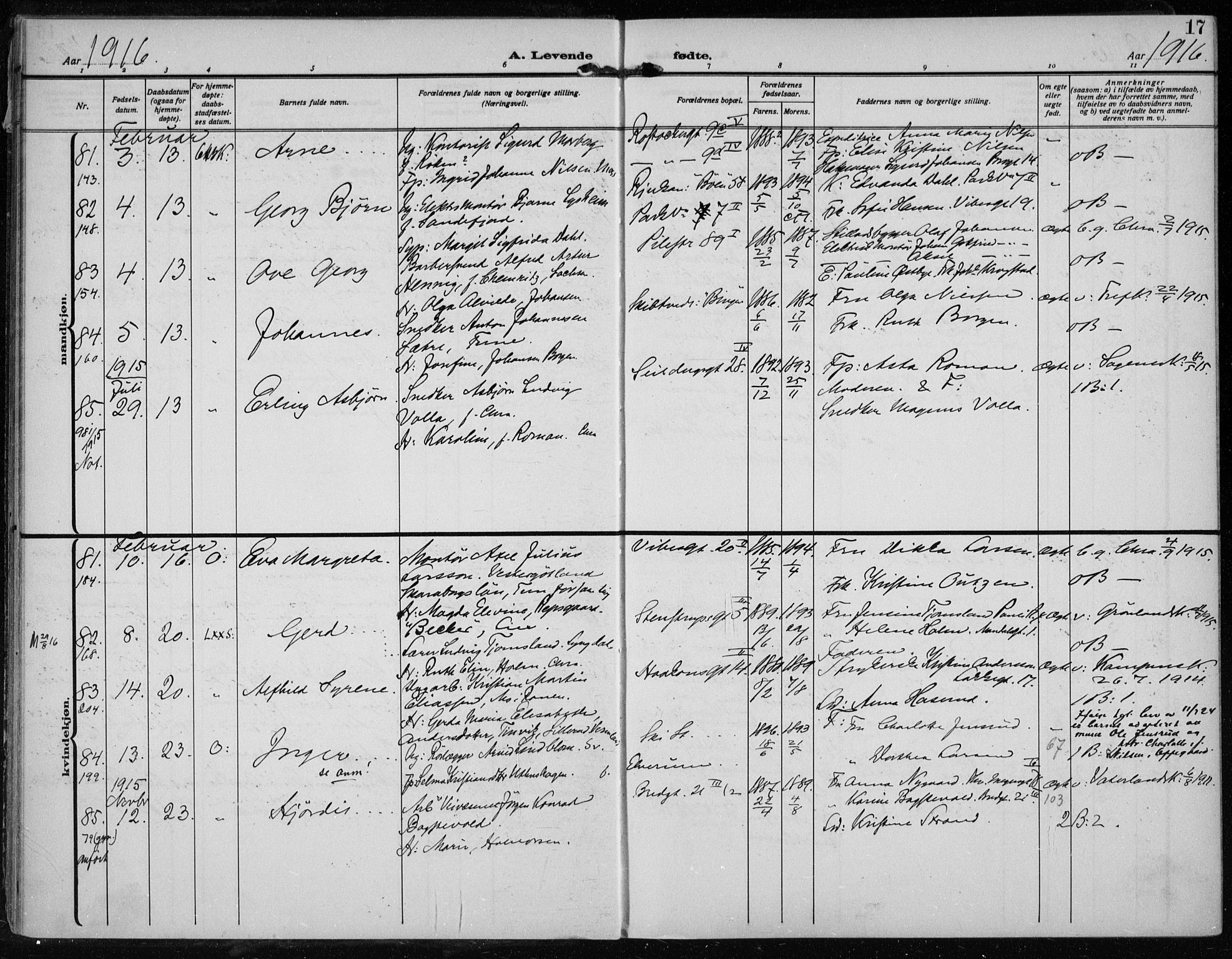 Rikshospitalet prestekontor Kirkebøker, AV/SAO-A-10309b/F/L0016: Parish register (official) no. 16, 1916-1918, p. 17