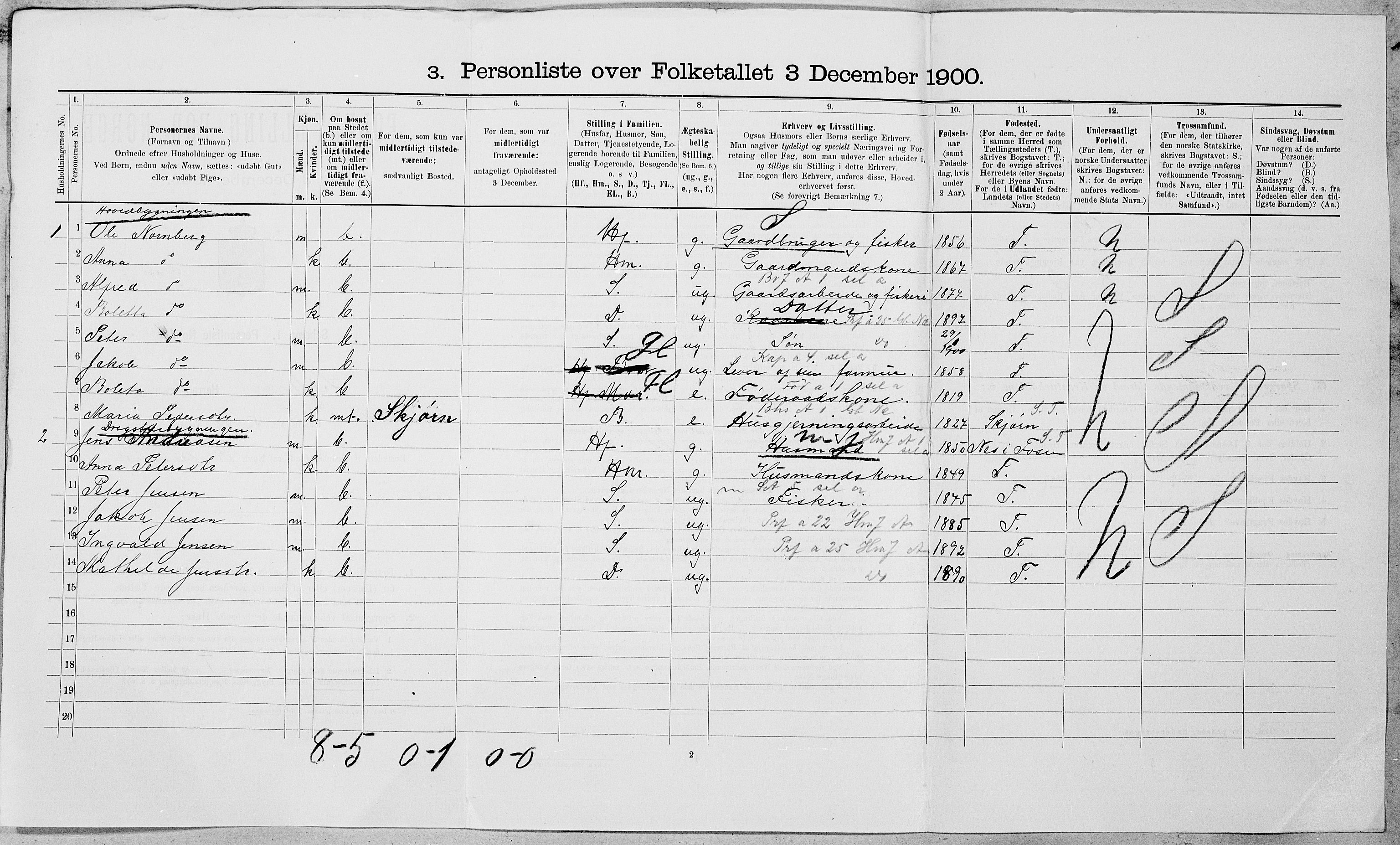 SAT, 1900 census for Bjugn, 1900, p. 313