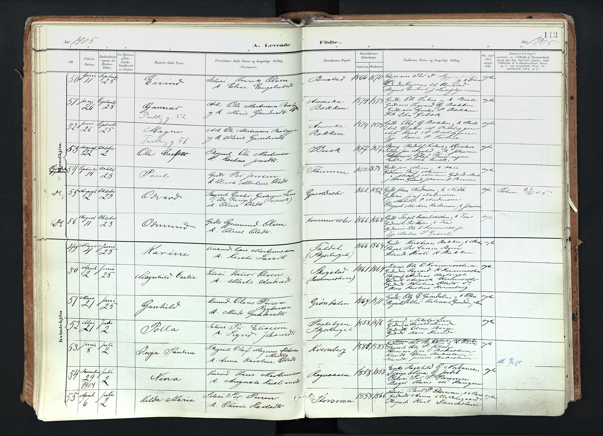 Trysil prestekontor, AV/SAH-PREST-046/H/Ha/Haa/L0012: Parish register (official) no. 12, 1898-1917, p. 113