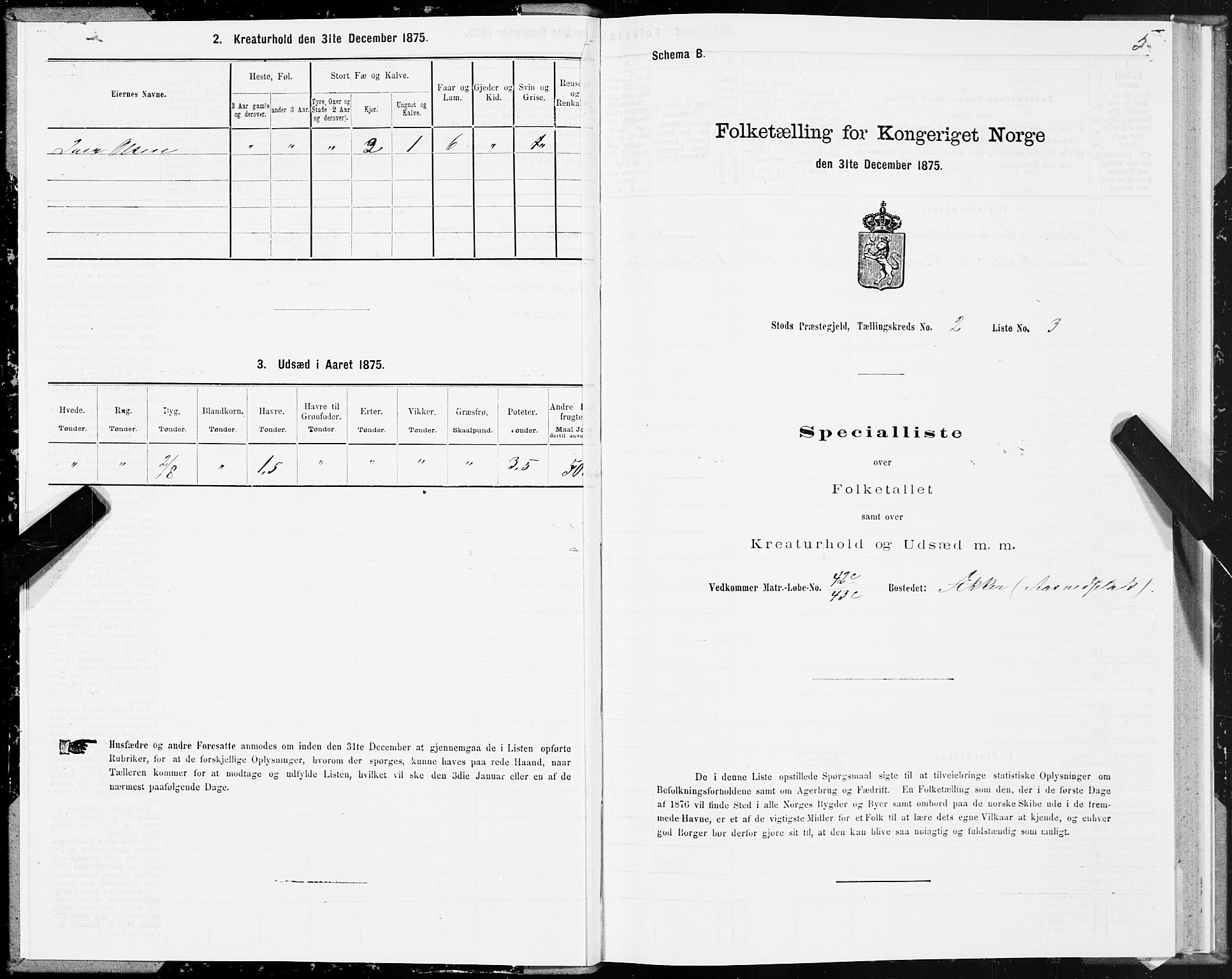 SAT, 1875 census for 1734P Stod, 1875, p. 2005