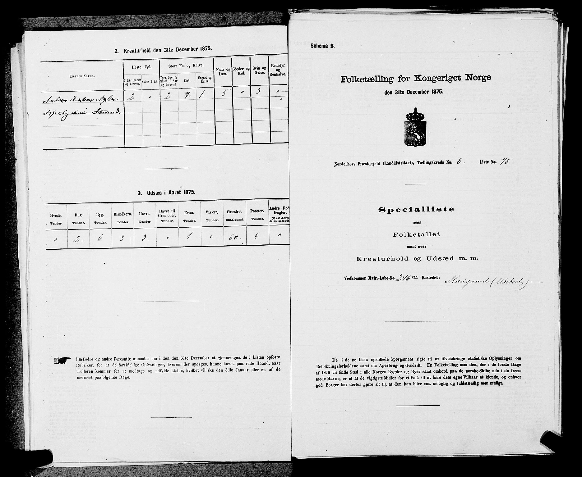 SAKO, 1875 census for 0613L Norderhov/Norderhov, Haug og Lunder, 1875, p. 1510