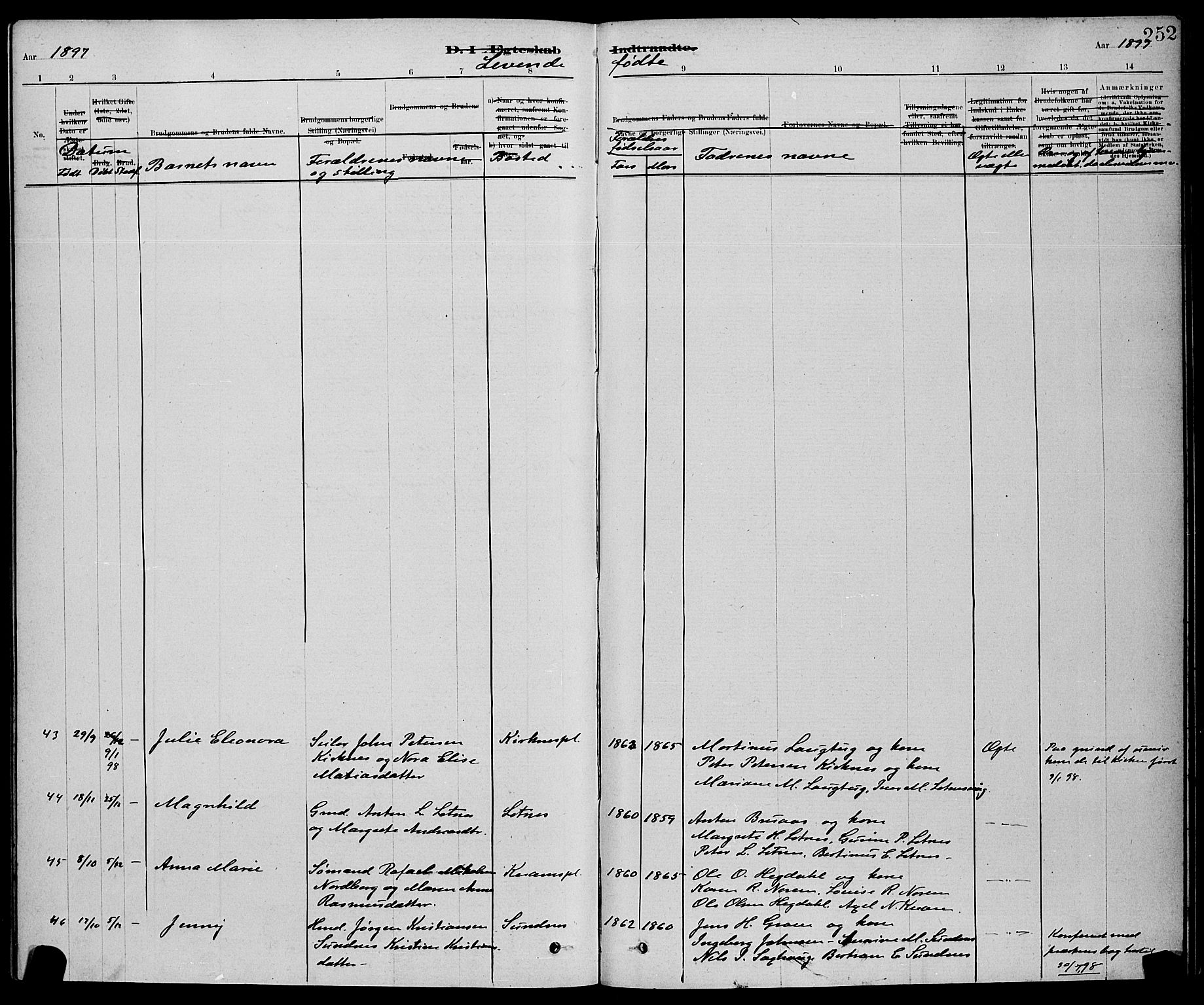 Ministerialprotokoller, klokkerbøker og fødselsregistre - Nord-Trøndelag, AV/SAT-A-1458/730/L0301: Parish register (copy) no. 730C04, 1880-1897, p. 252