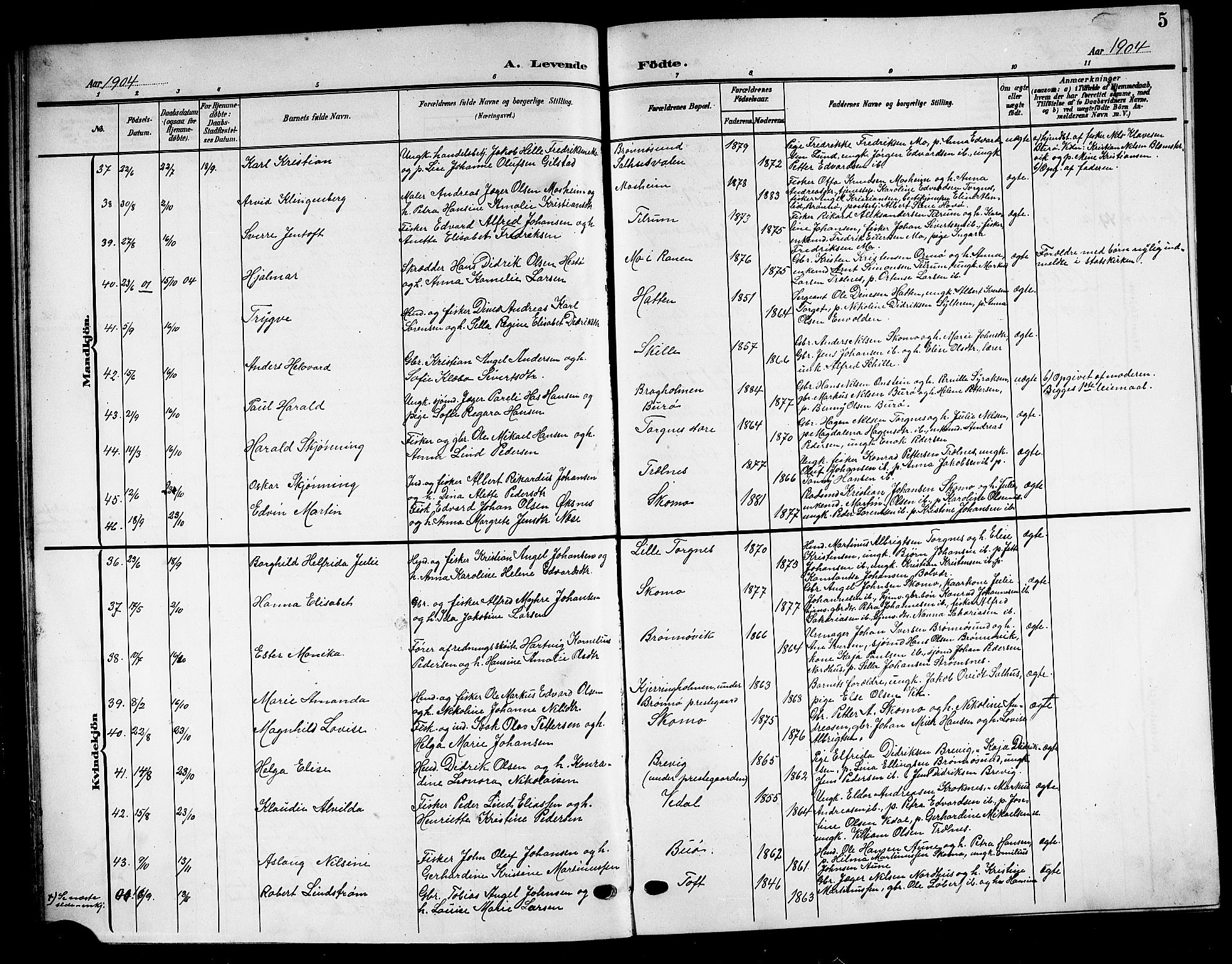 Ministerialprotokoller, klokkerbøker og fødselsregistre - Nordland, SAT/A-1459/813/L0214: Parish register (copy) no. 813C06, 1904-1917, p. 5