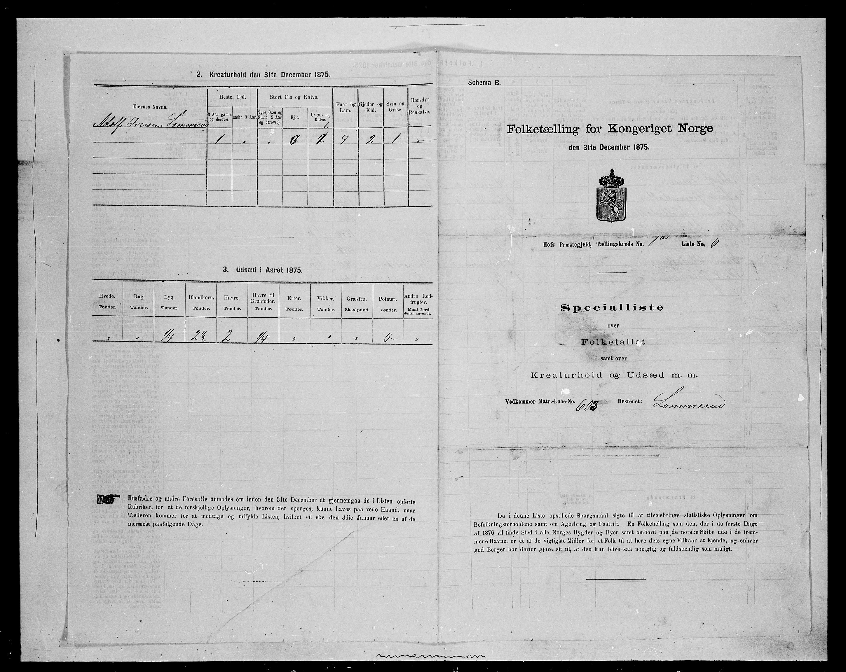 SAH, 1875 census for 0424P Hof, 1875, p. 20