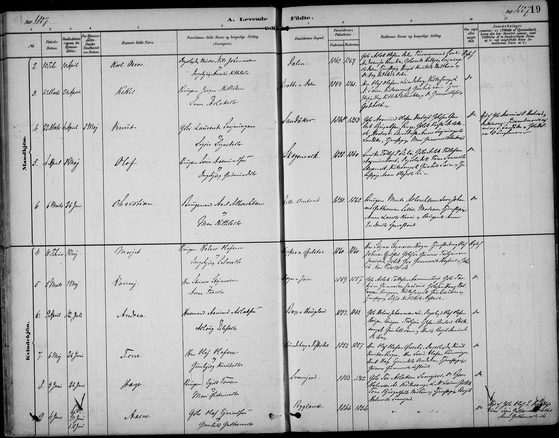 Kviteseid kirkebøker, SAKO/A-276/F/Fb/L0002: Parish register (official) no. II 2, 1882-1916, p. 19