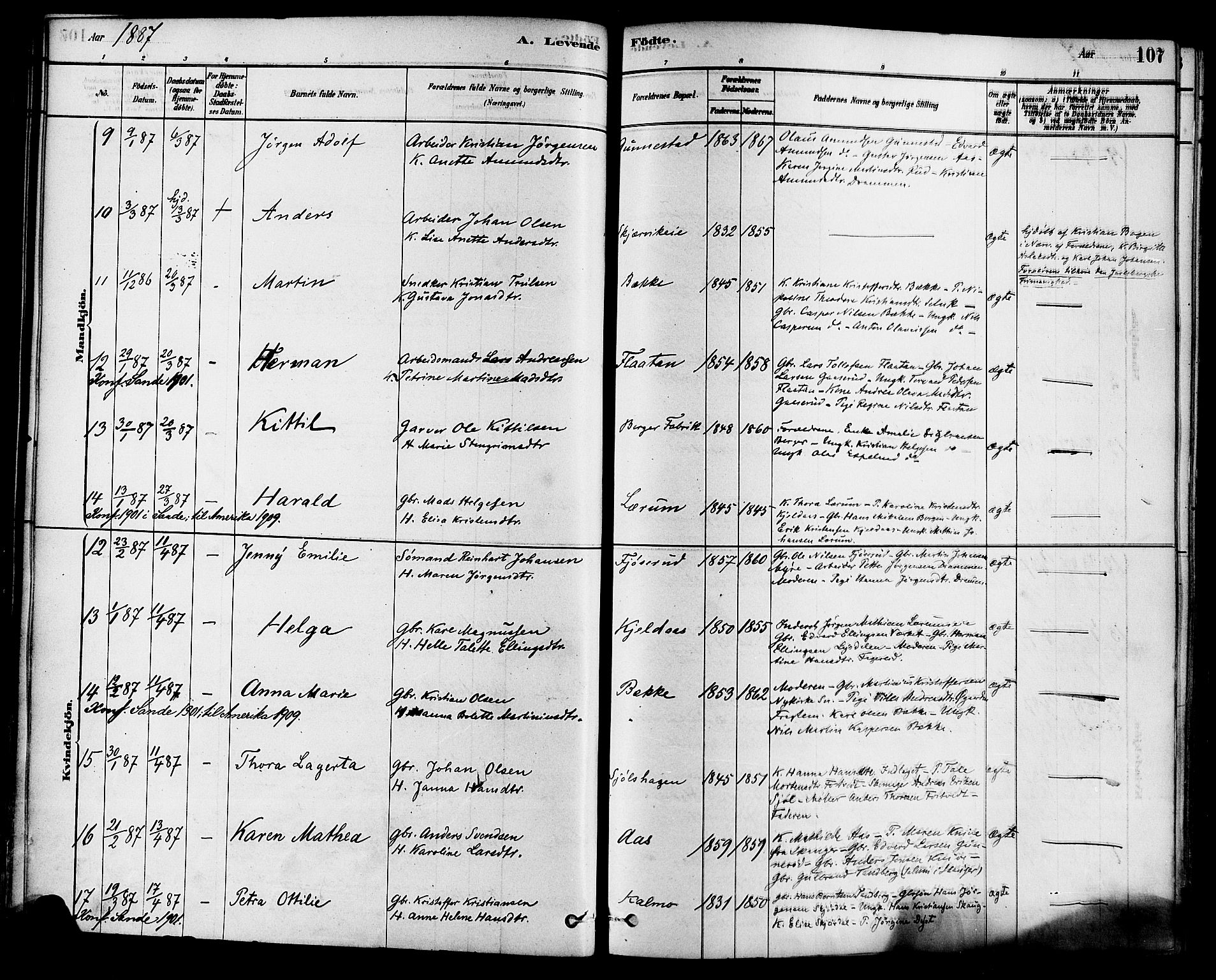 Sande Kirkebøker, AV/SAKO-A-53/F/Fa/L0006: Parish register (official) no. 6, 1878-1888, p. 107