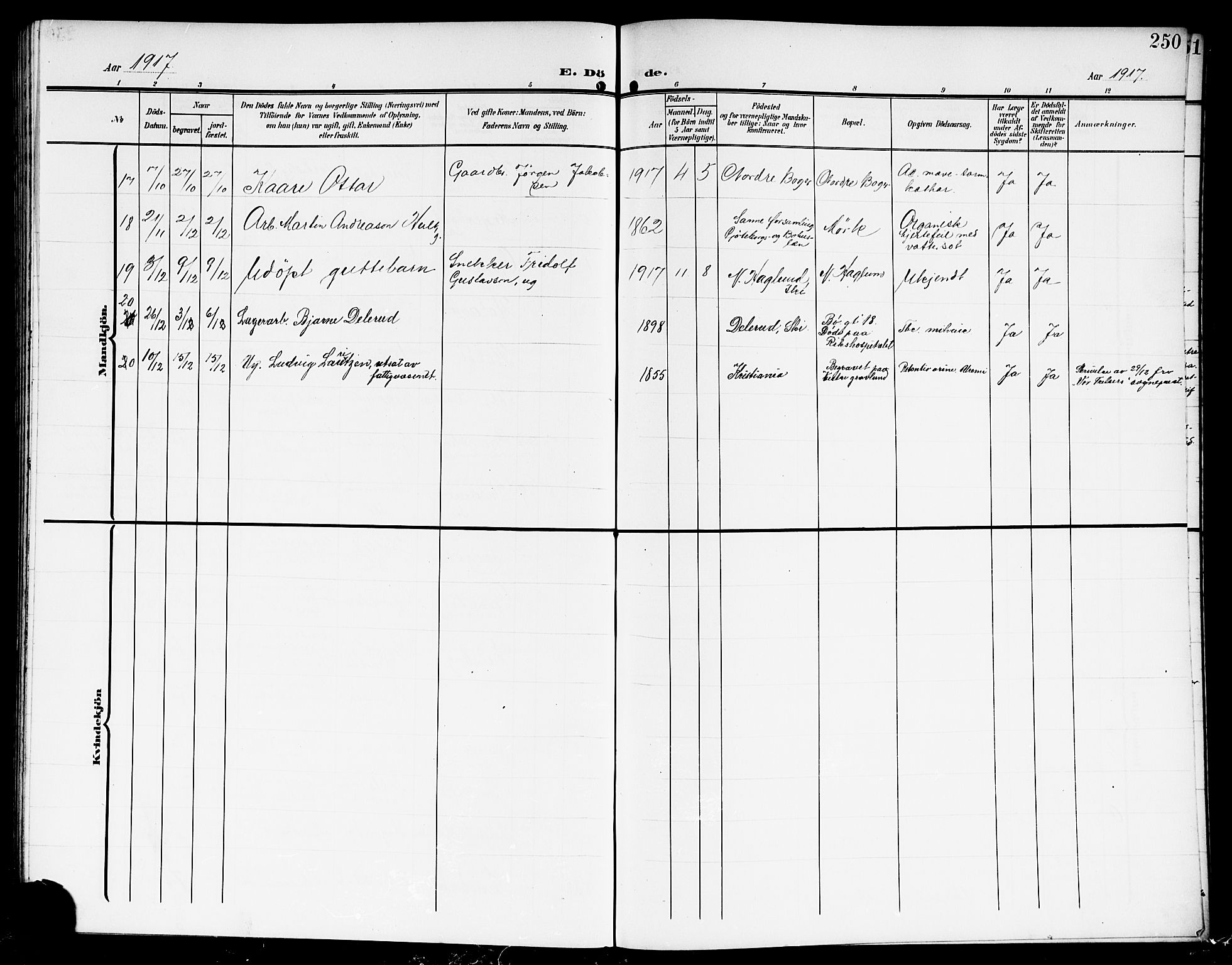 Kråkstad prestekontor Kirkebøker, AV/SAO-A-10125a/G/Gb/L0001: Parish register (copy) no. II 1, 1905-1920, p. 250