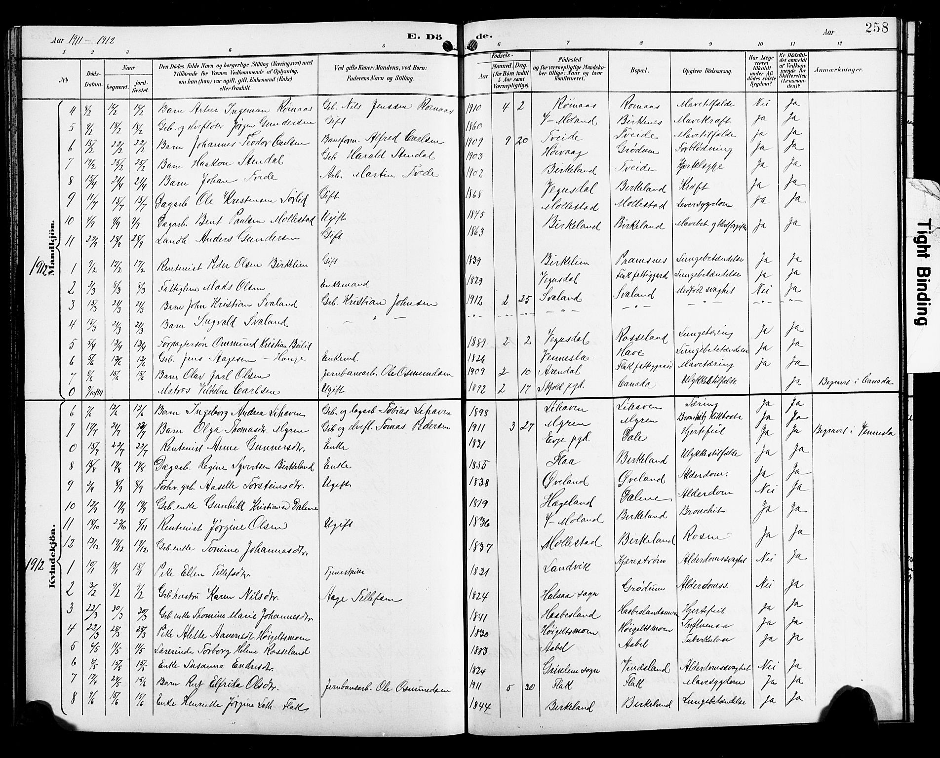 Birkenes sokneprestkontor, SAK/1111-0004/F/Fb/L0004: Parish register (copy) no. B 4, 1893-1930, p. 258