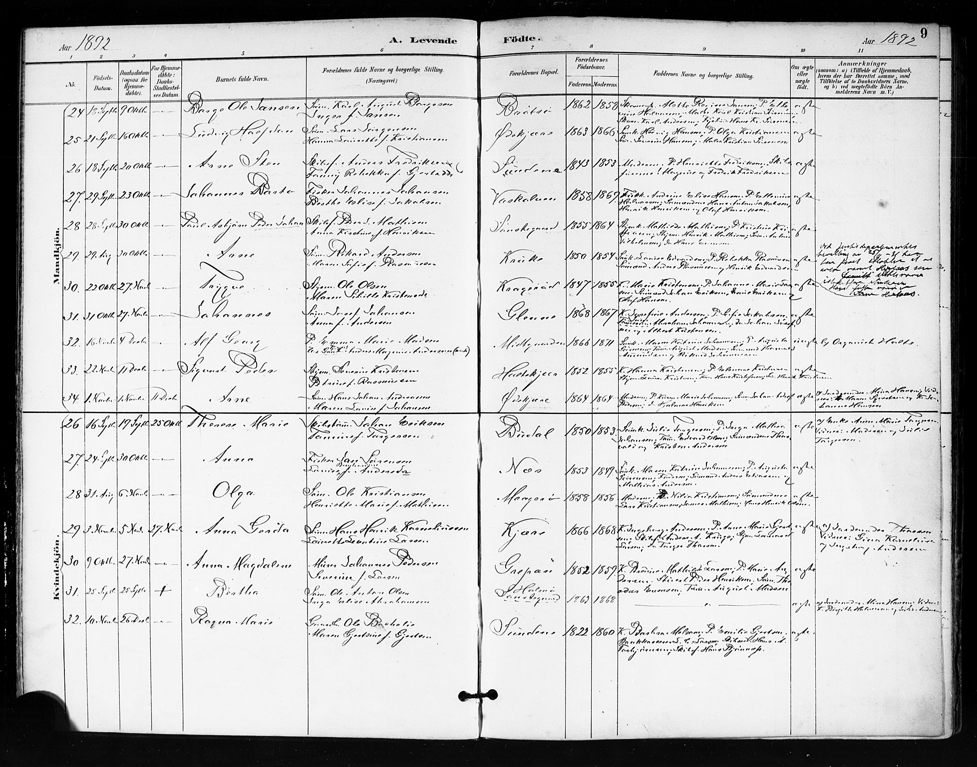 Tjøme kirkebøker, AV/SAKO-A-328/F/Fa/L0003: Parish register (official) no. I 3, 1891-1900, p. 9