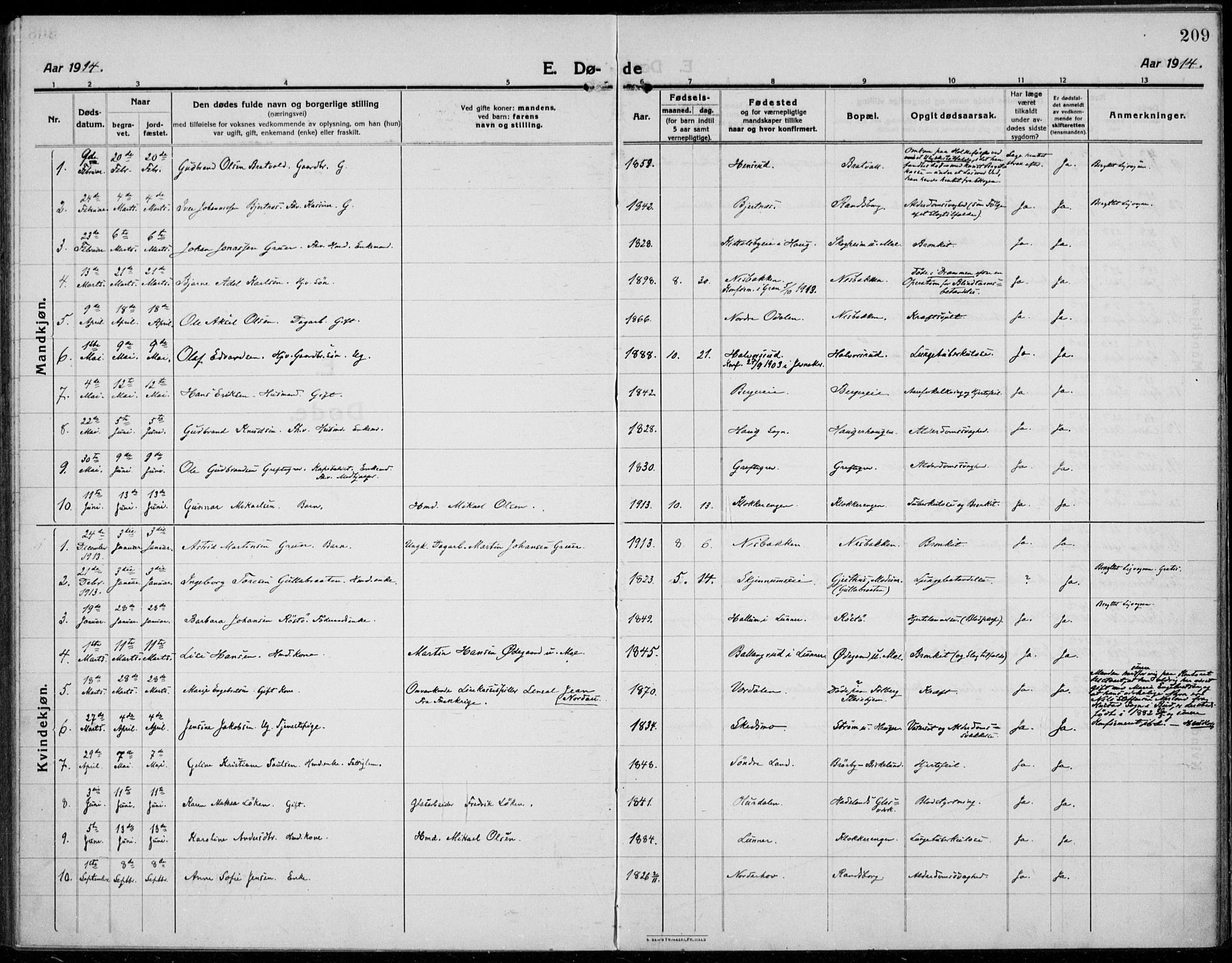 Jevnaker prestekontor, SAH/PREST-116/H/Ha/Haa/L0012: Parish register (official) no. 12, 1914-1924, p. 209