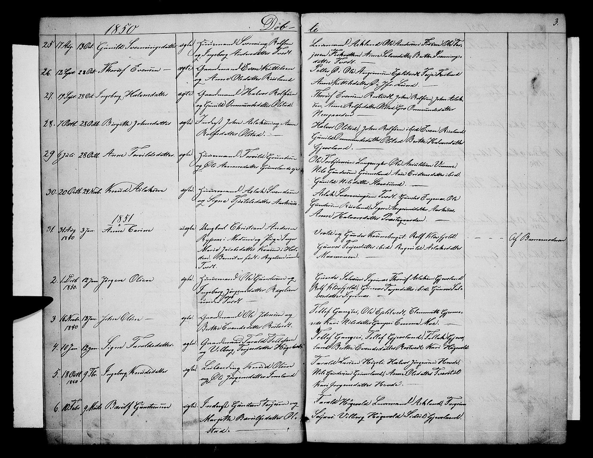 Åmli sokneprestkontor, AV/SAK-1111-0050/F/Fb/Fbc/L0002: Parish register (copy) no. B 2, 1850-1867, p. 3