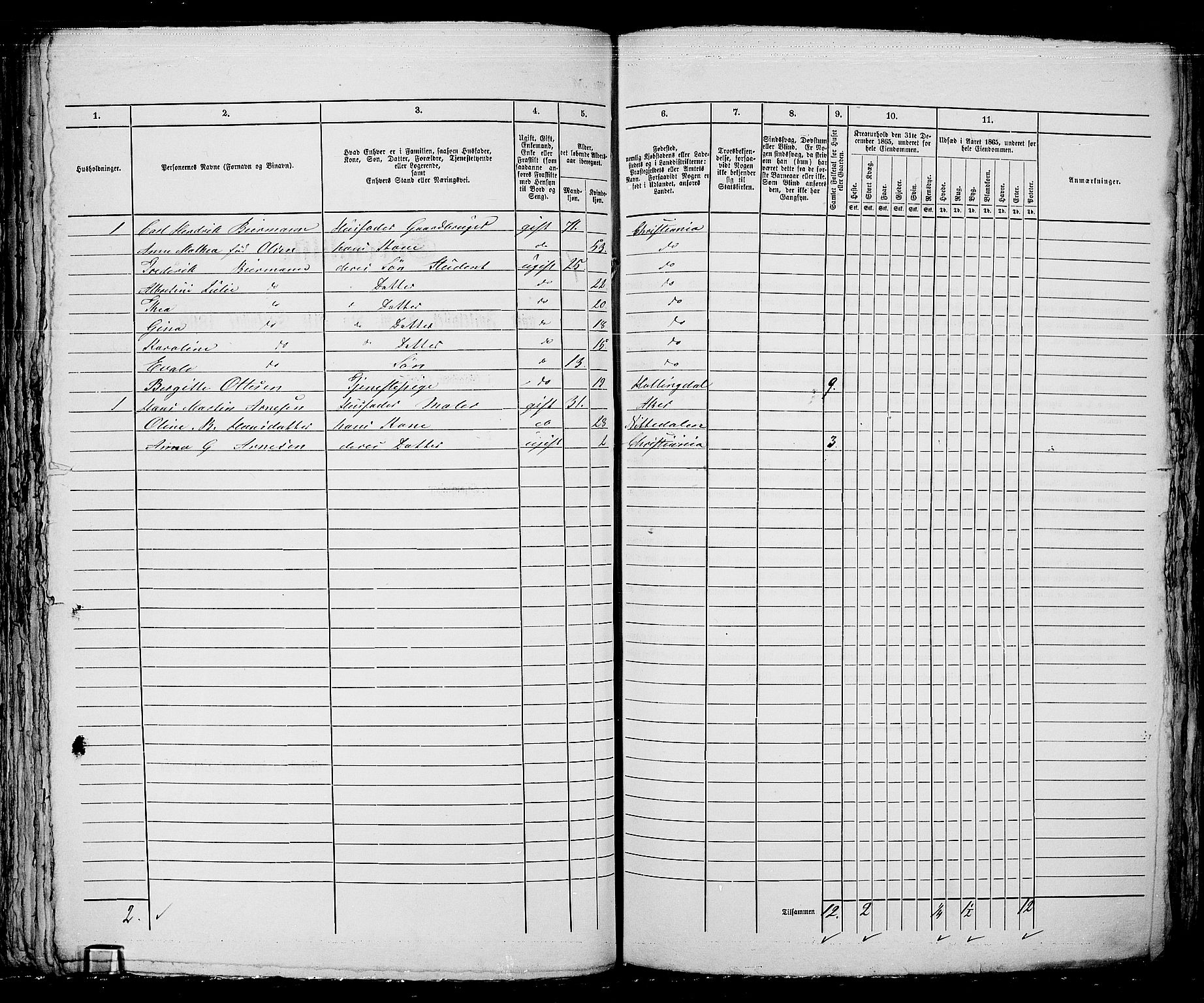 RA, 1865 census for Kristiania, 1865, p. 5133