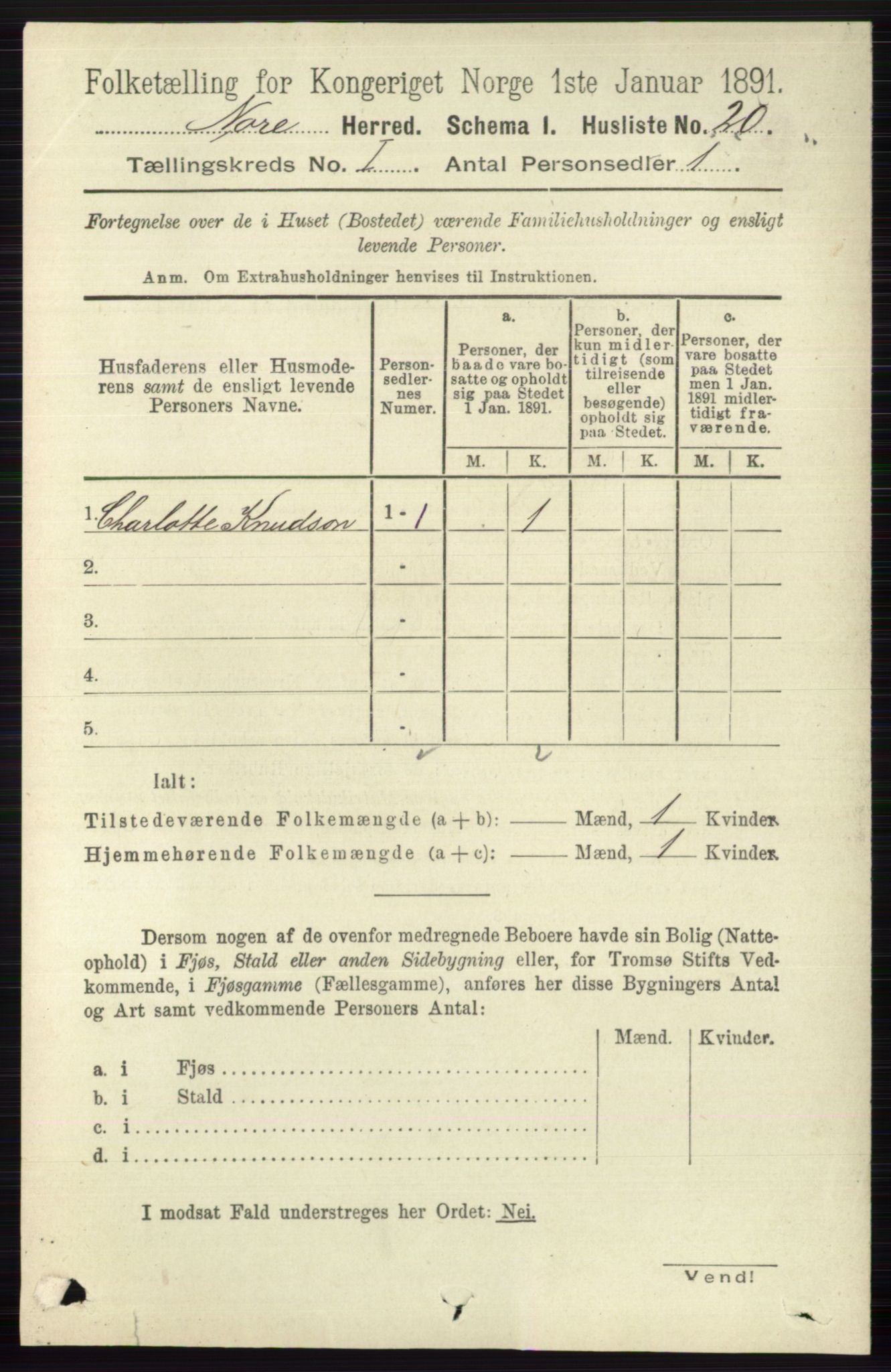 RA, 1891 census for 0633 Nore, 1891, p. 56