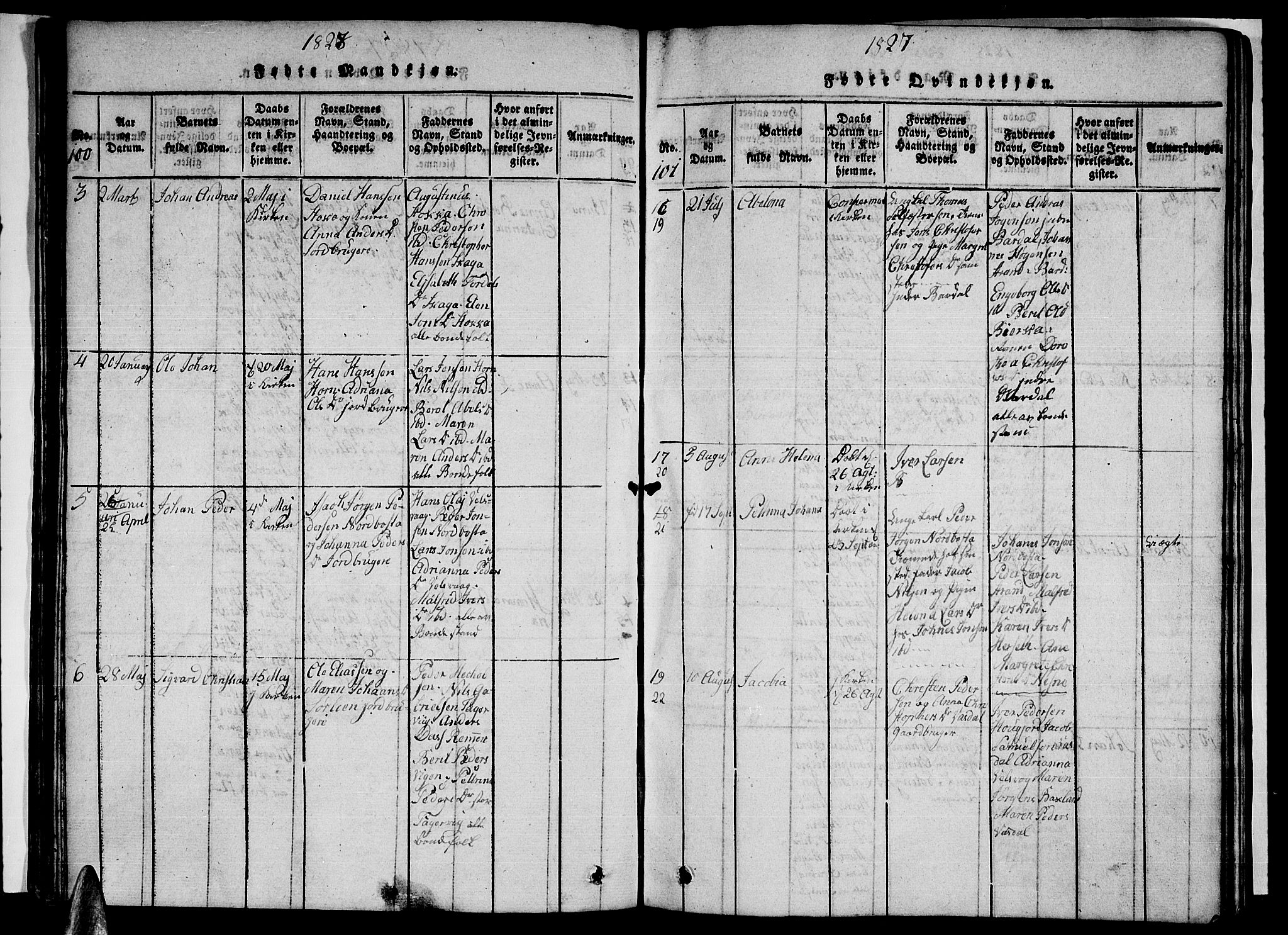 Ministerialprotokoller, klokkerbøker og fødselsregistre - Nordland, AV/SAT-A-1459/838/L0554: Parish register (copy) no. 838C01, 1820-1828, p. 100-101