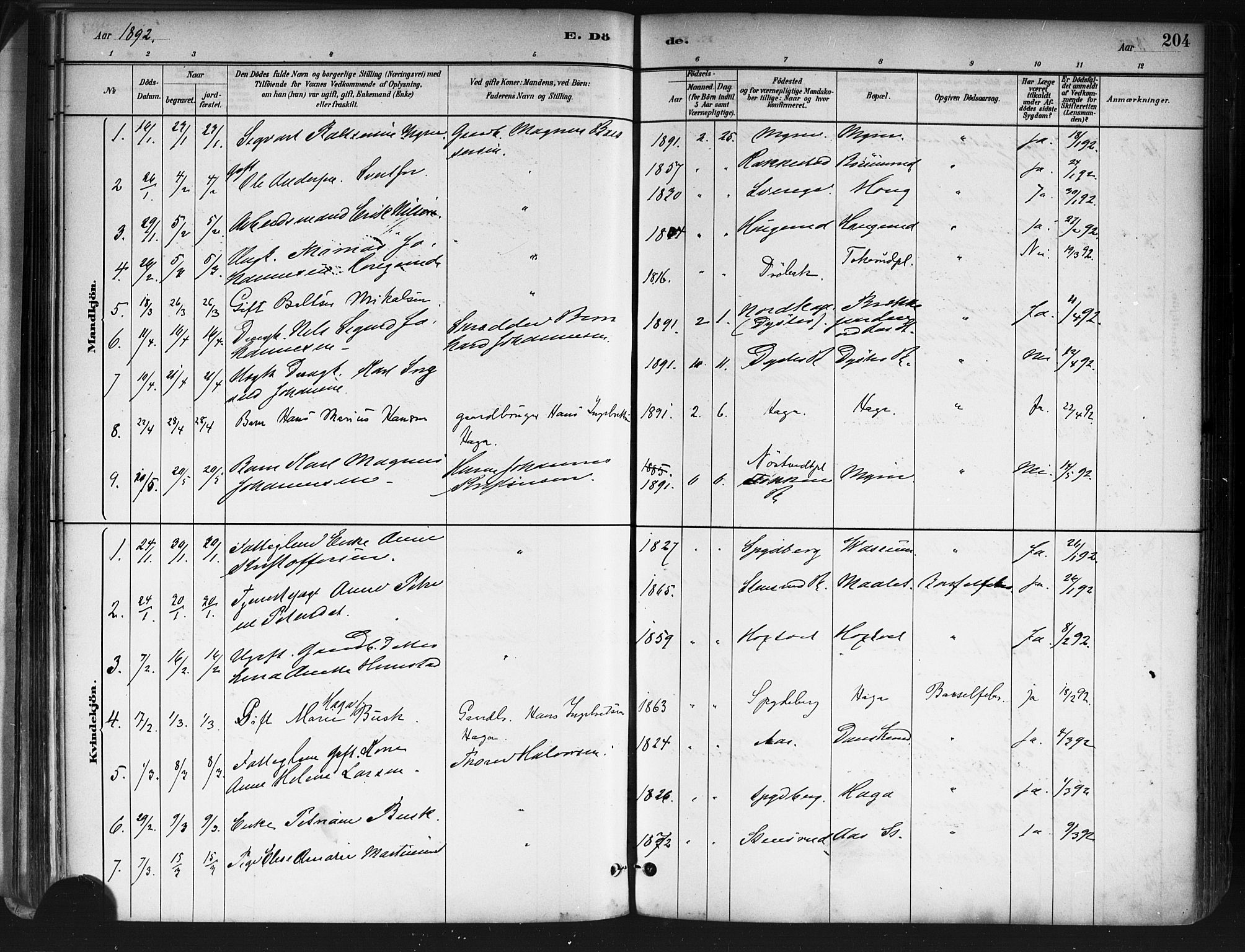 Ås prestekontor Kirkebøker, AV/SAO-A-10894/F/Fa/L0009: Parish register (official) no. I 9, 1881-1900, p. 204