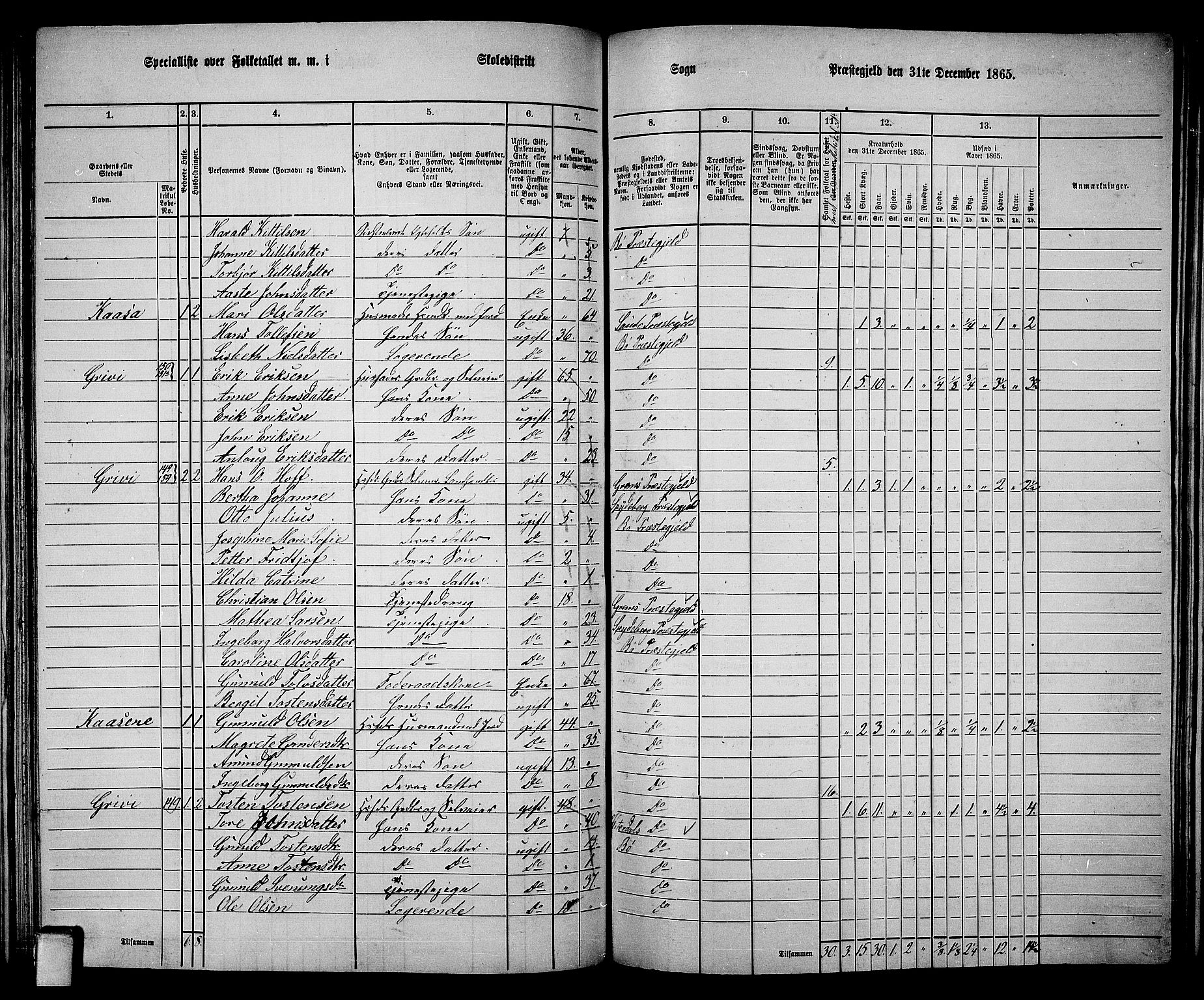 RA, 1865 census for Bø, 1865, p. 100