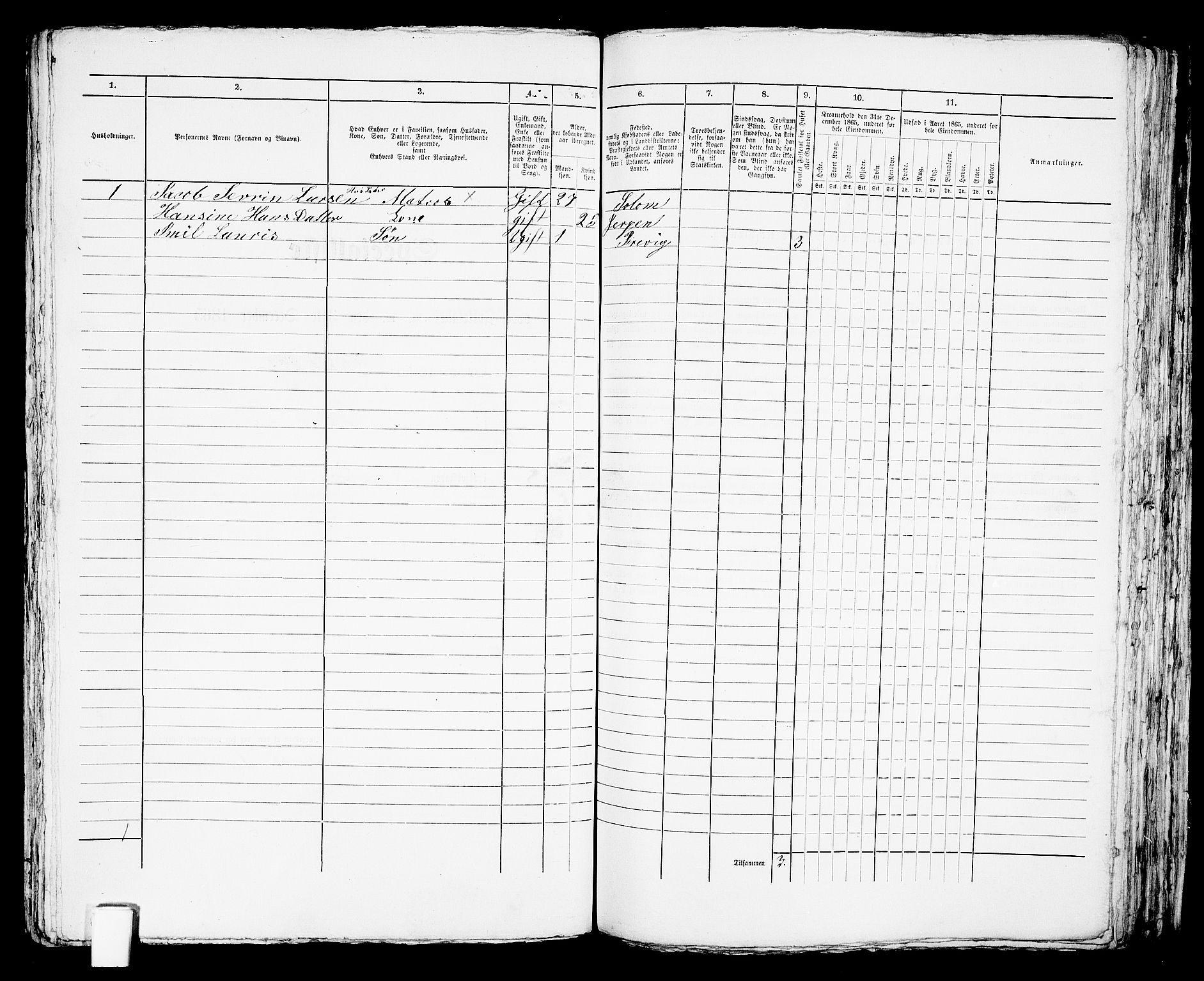 RA, 1865 census for Brevik, 1865, p. 596