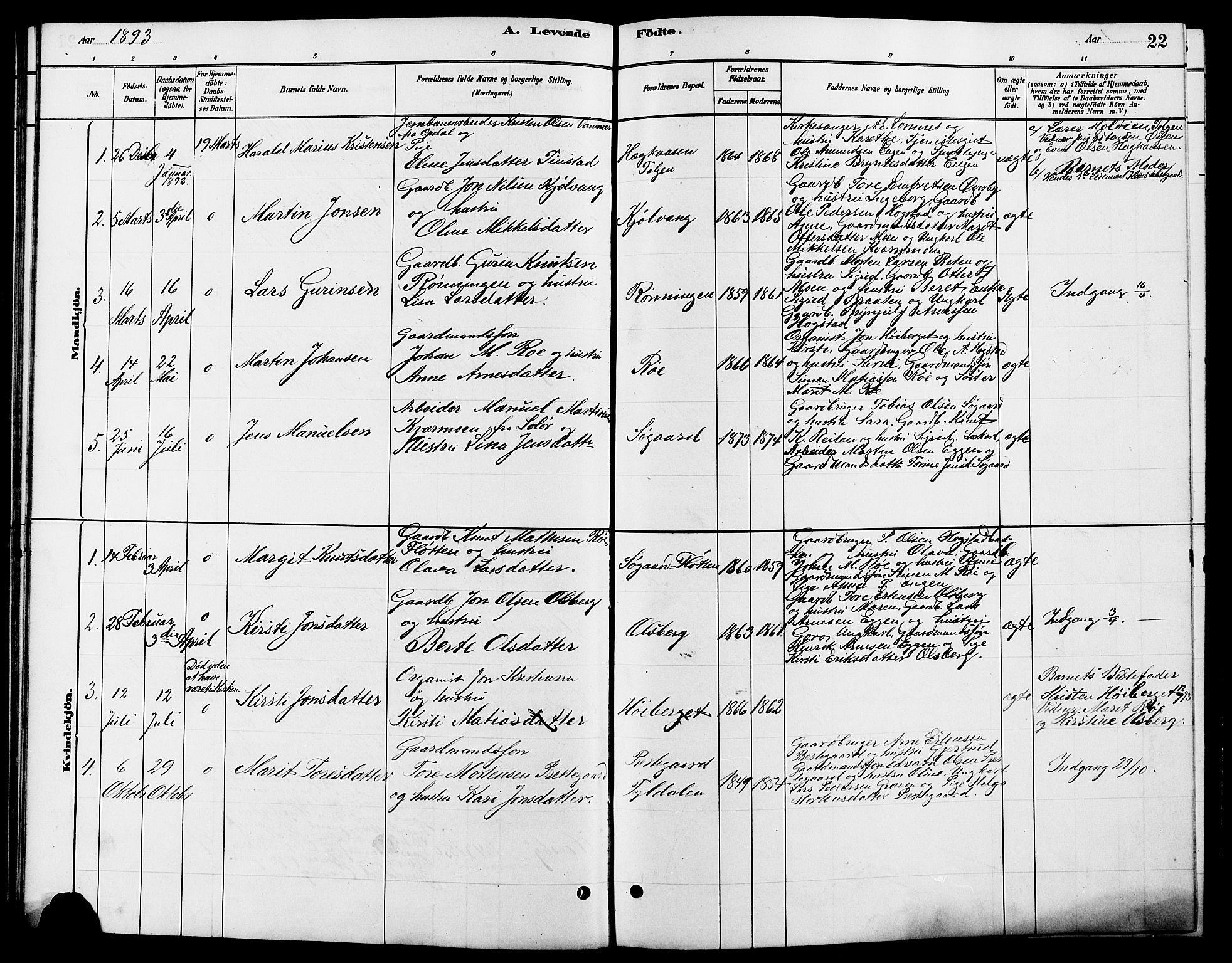 Tynset prestekontor, SAH/PREST-058/H/Ha/Hab/L0007: Parish register (copy) no. 7, 1880-1901, p. 22
