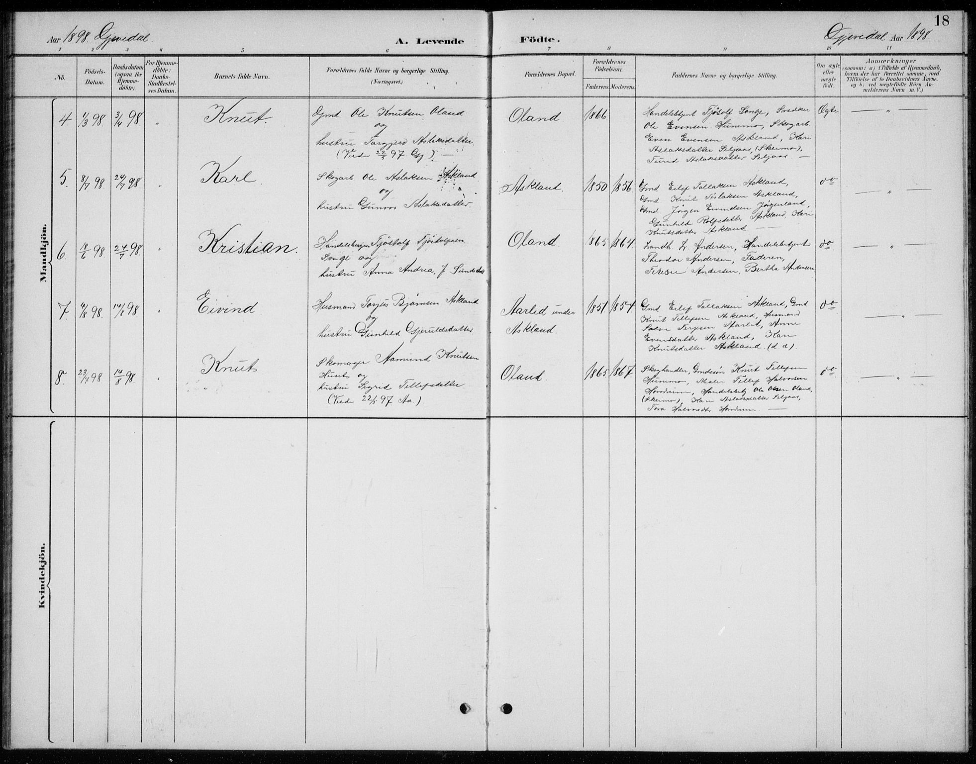 Åmli sokneprestkontor, AV/SAK-1111-0050/F/Fb/Fba/L0002: Parish register (copy) no. B 2, 1890-1912, p. 18