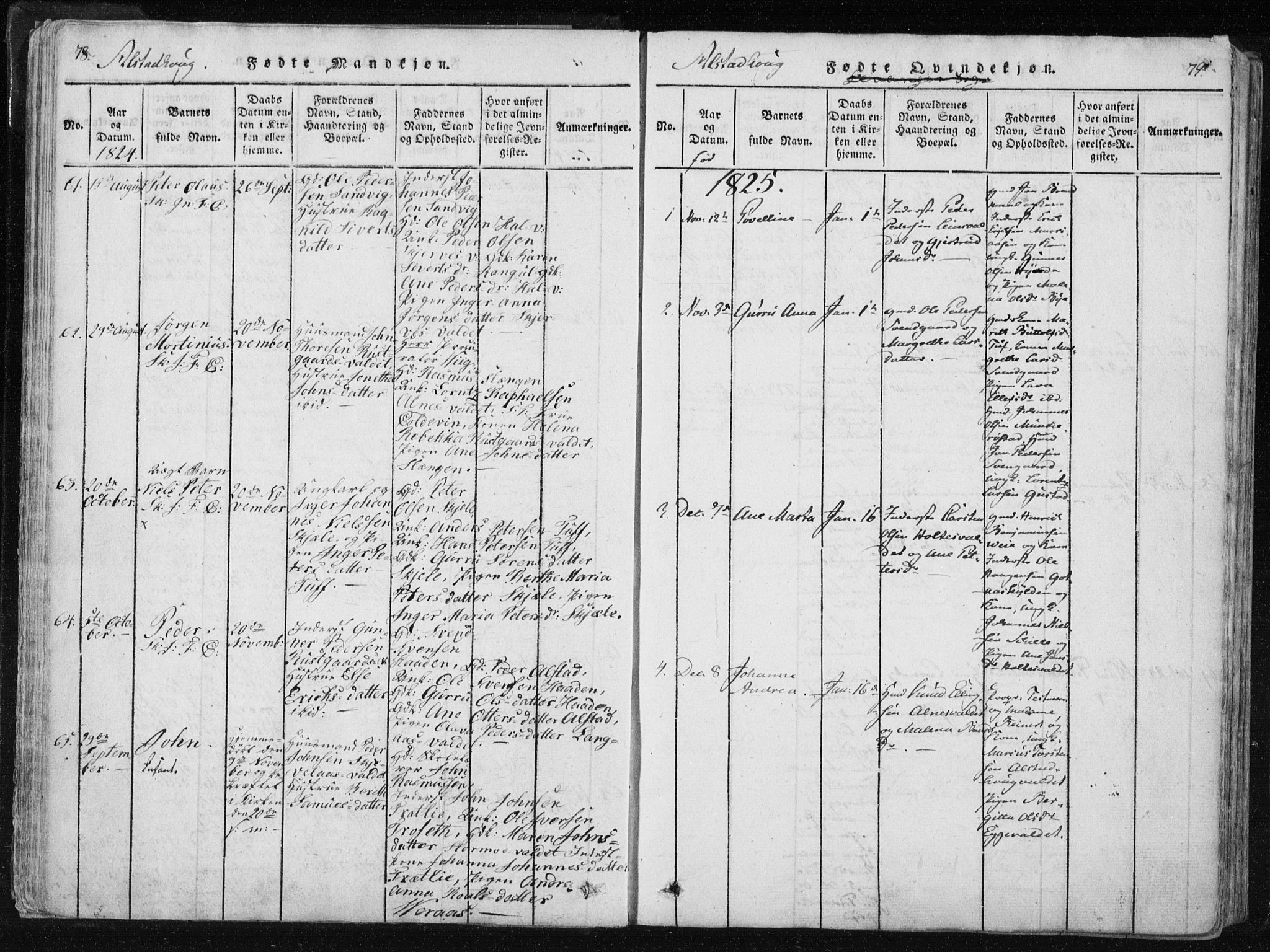 Ministerialprotokoller, klokkerbøker og fødselsregistre - Nord-Trøndelag, SAT/A-1458/717/L0148: Parish register (official) no. 717A04 /1, 1816-1825, p. 78-79