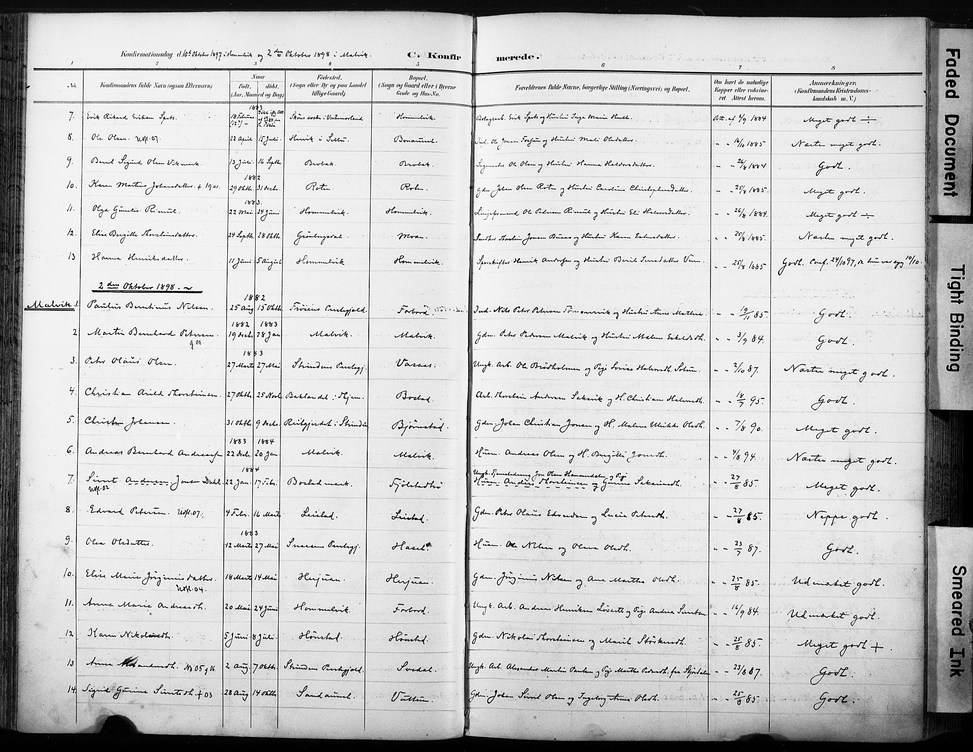 Ministerialprotokoller, klokkerbøker og fødselsregistre - Sør-Trøndelag, SAT/A-1456/616/L0411: Parish register (official) no. 616A08, 1894-1906