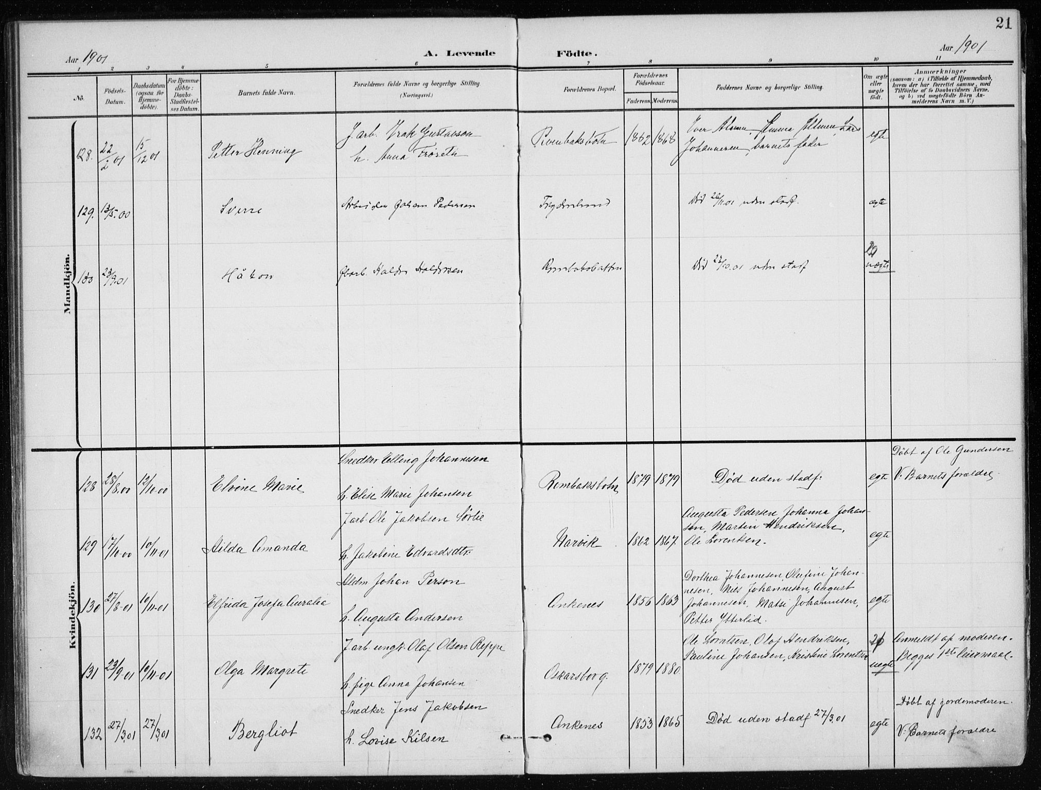 Ministerialprotokoller, klokkerbøker og fødselsregistre - Nordland, AV/SAT-A-1459/866/L0941: Parish register (official) no. 866A04, 1901-1917, p. 21